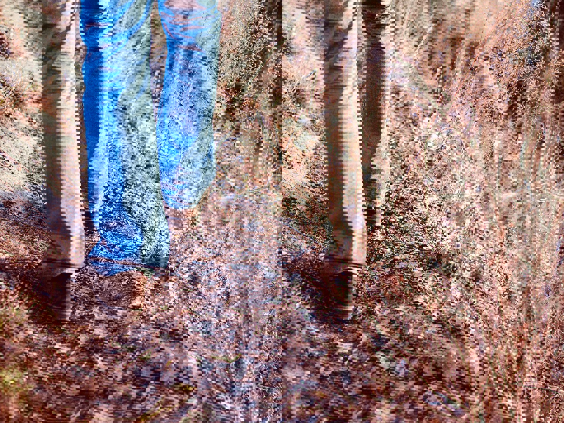 Background image - Event image