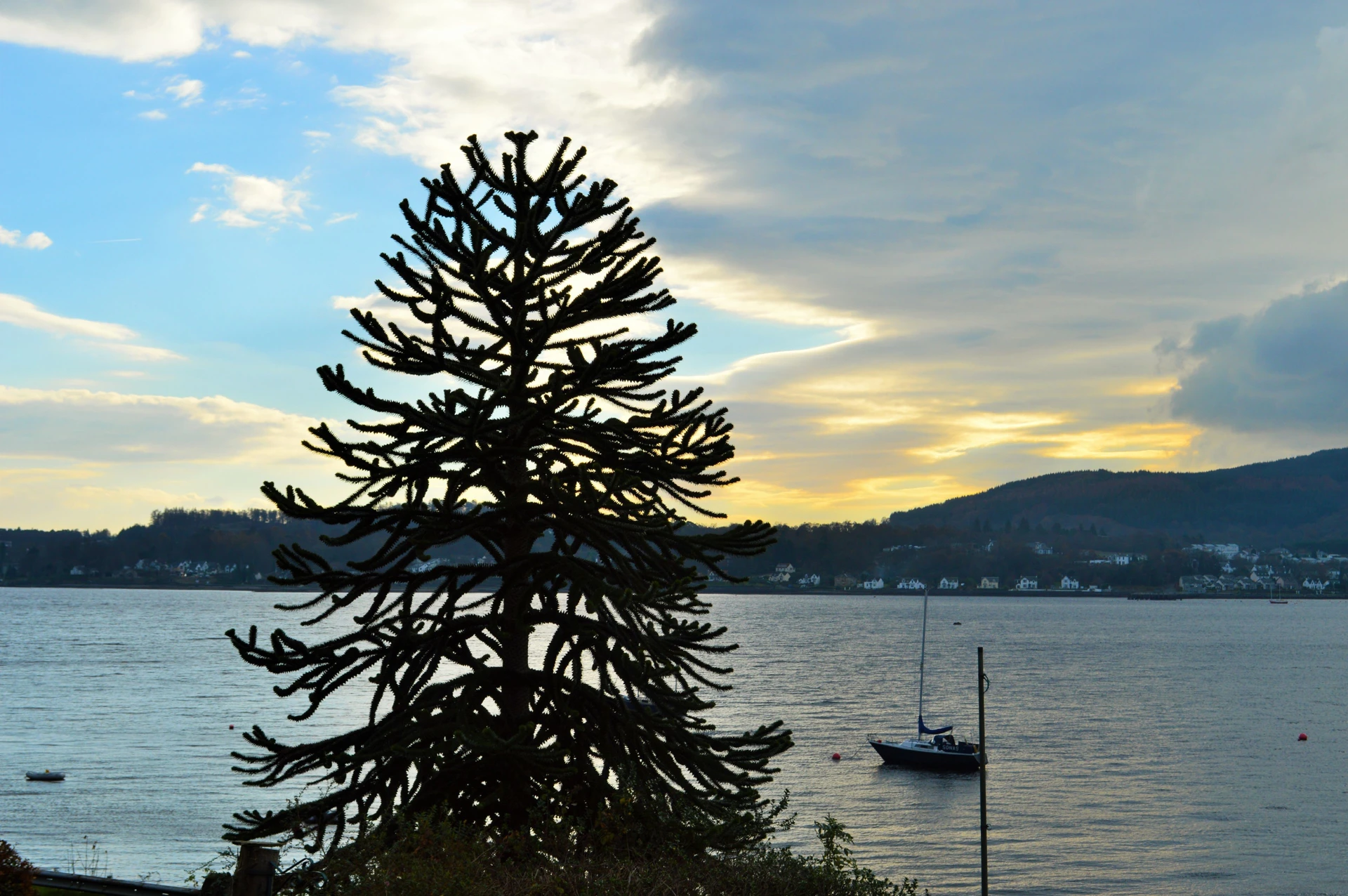 Ardmun House Image 1