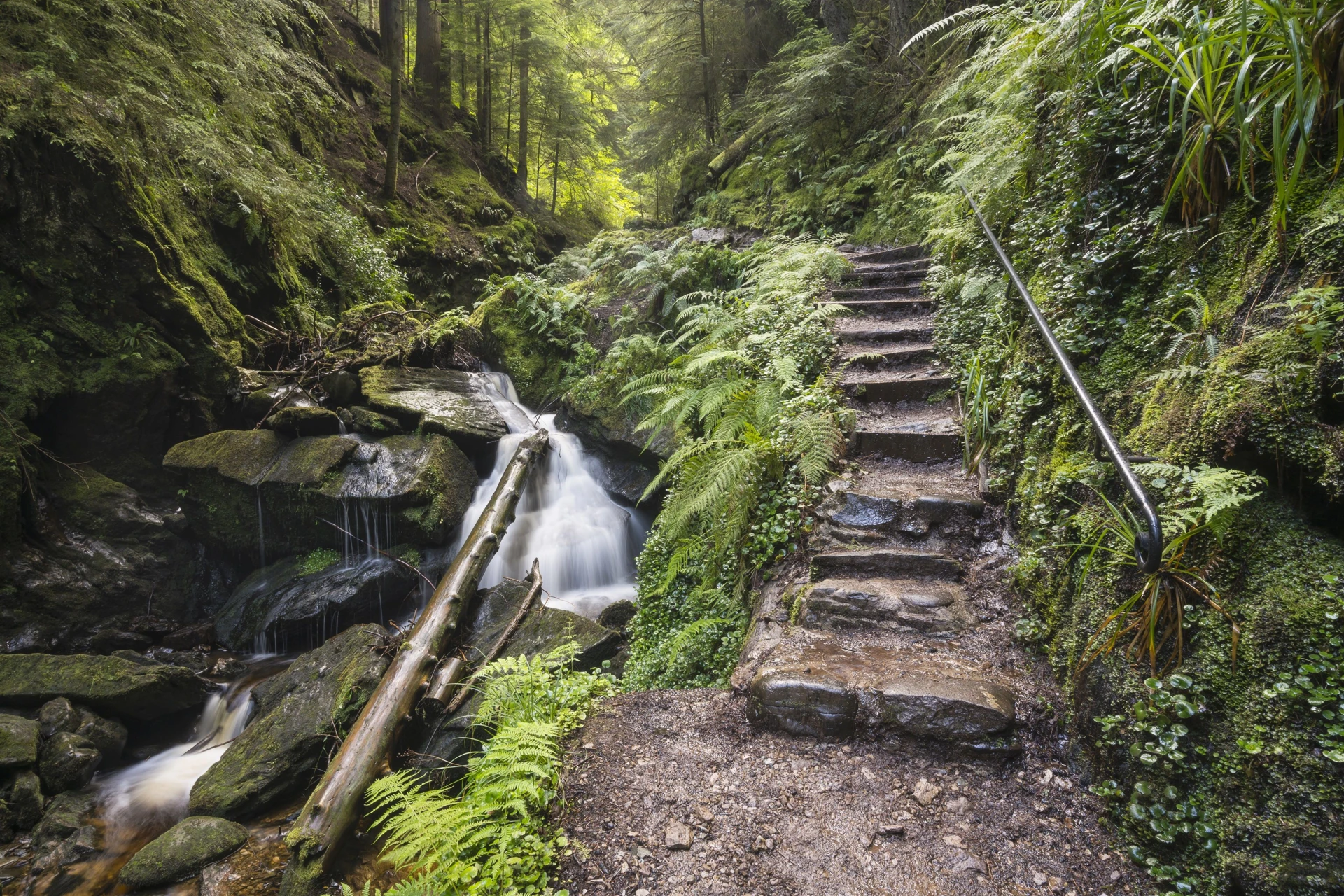 18 Lamont Lodges Image 1