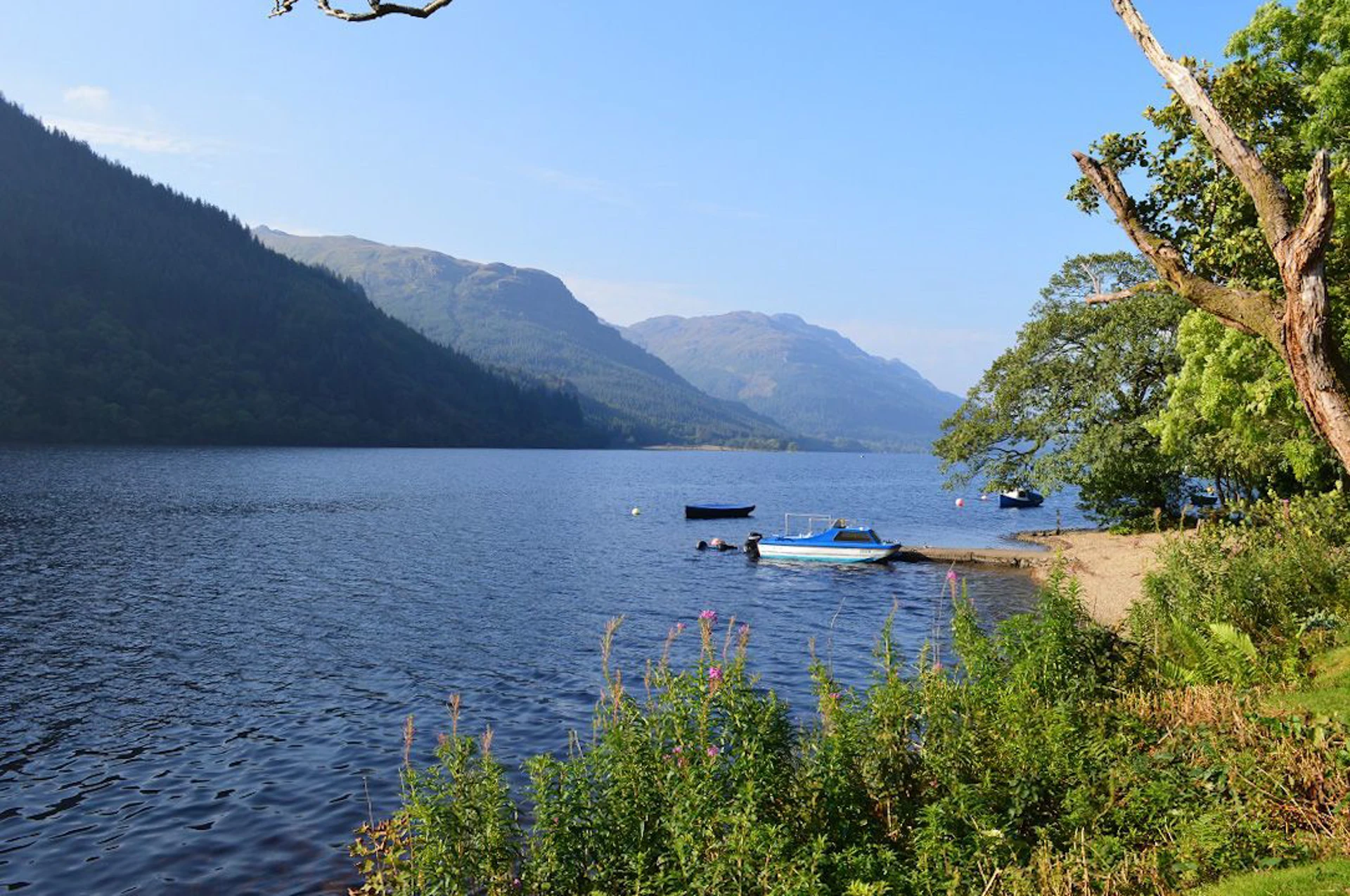 18 Lamont Lodges Image 1