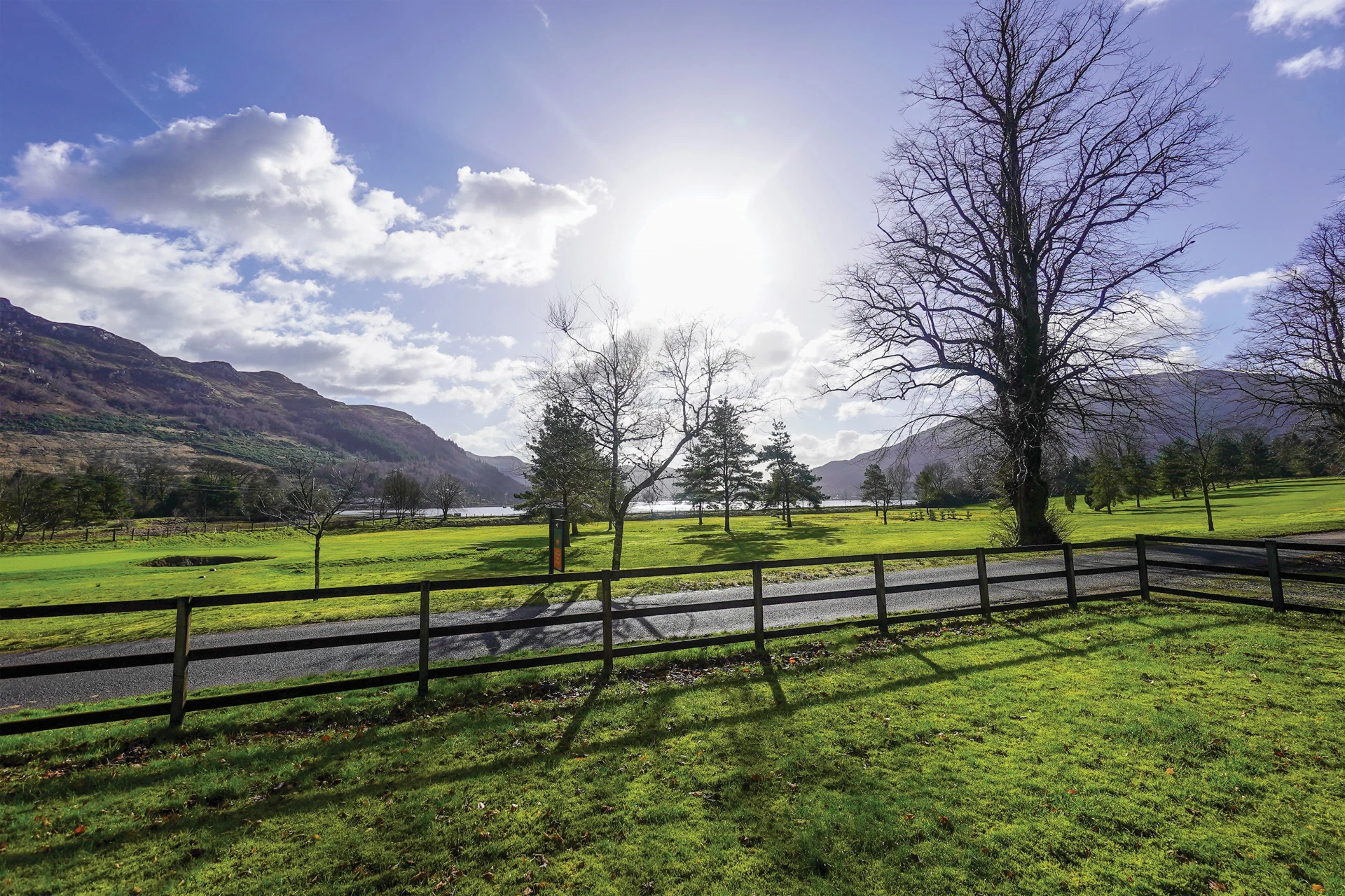 Crann Mhor at the Drimsynie Estate Image 1