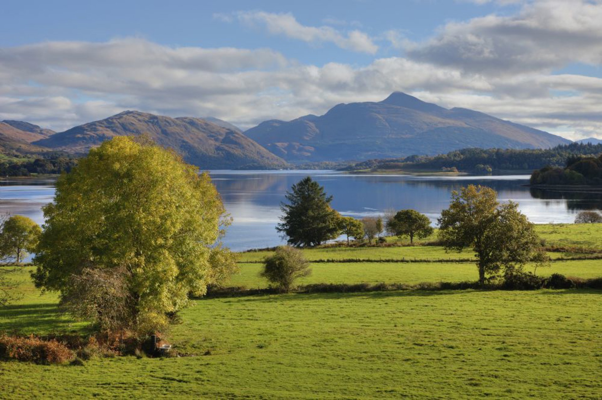 Background image - Property image