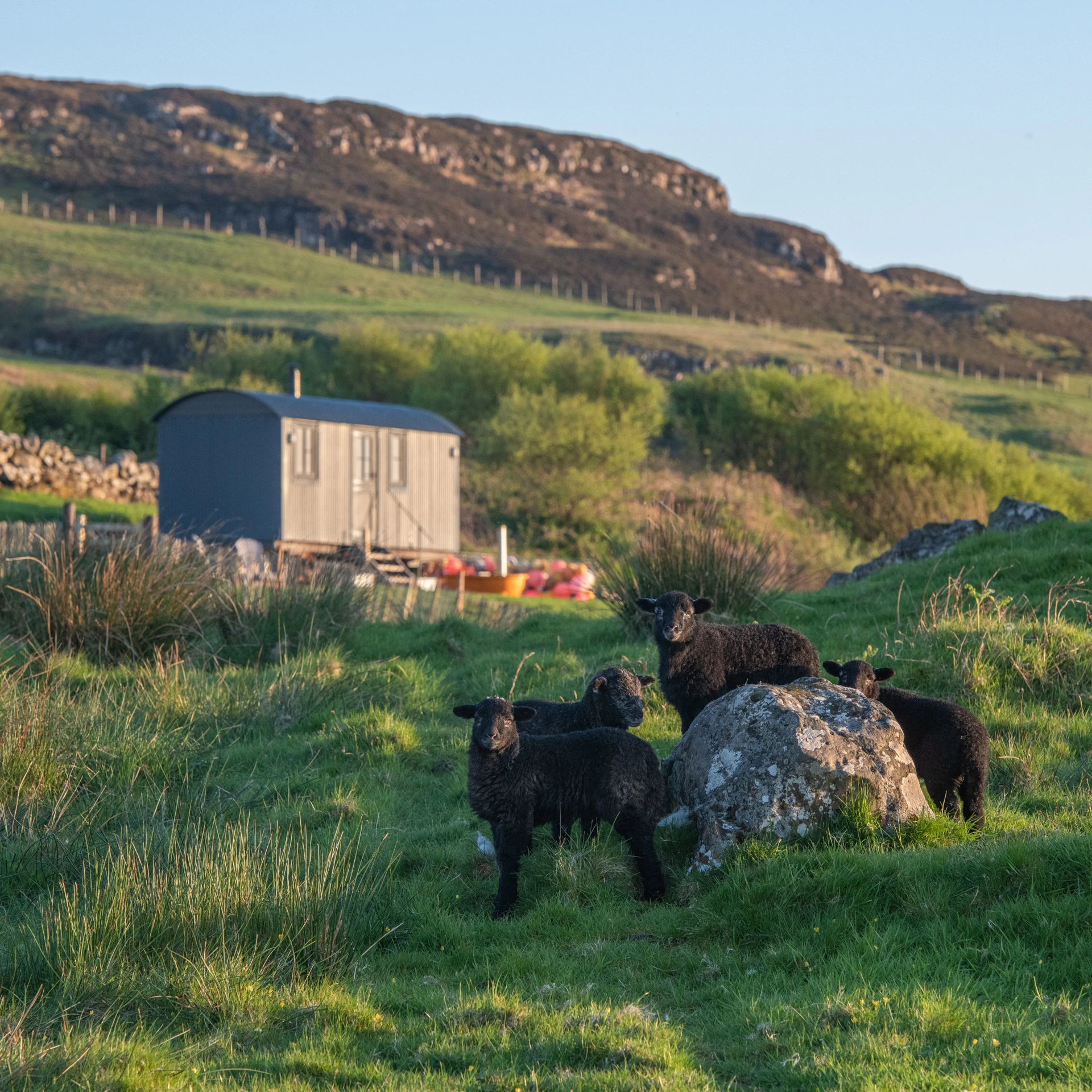 Shepherd's Hut Image 1
