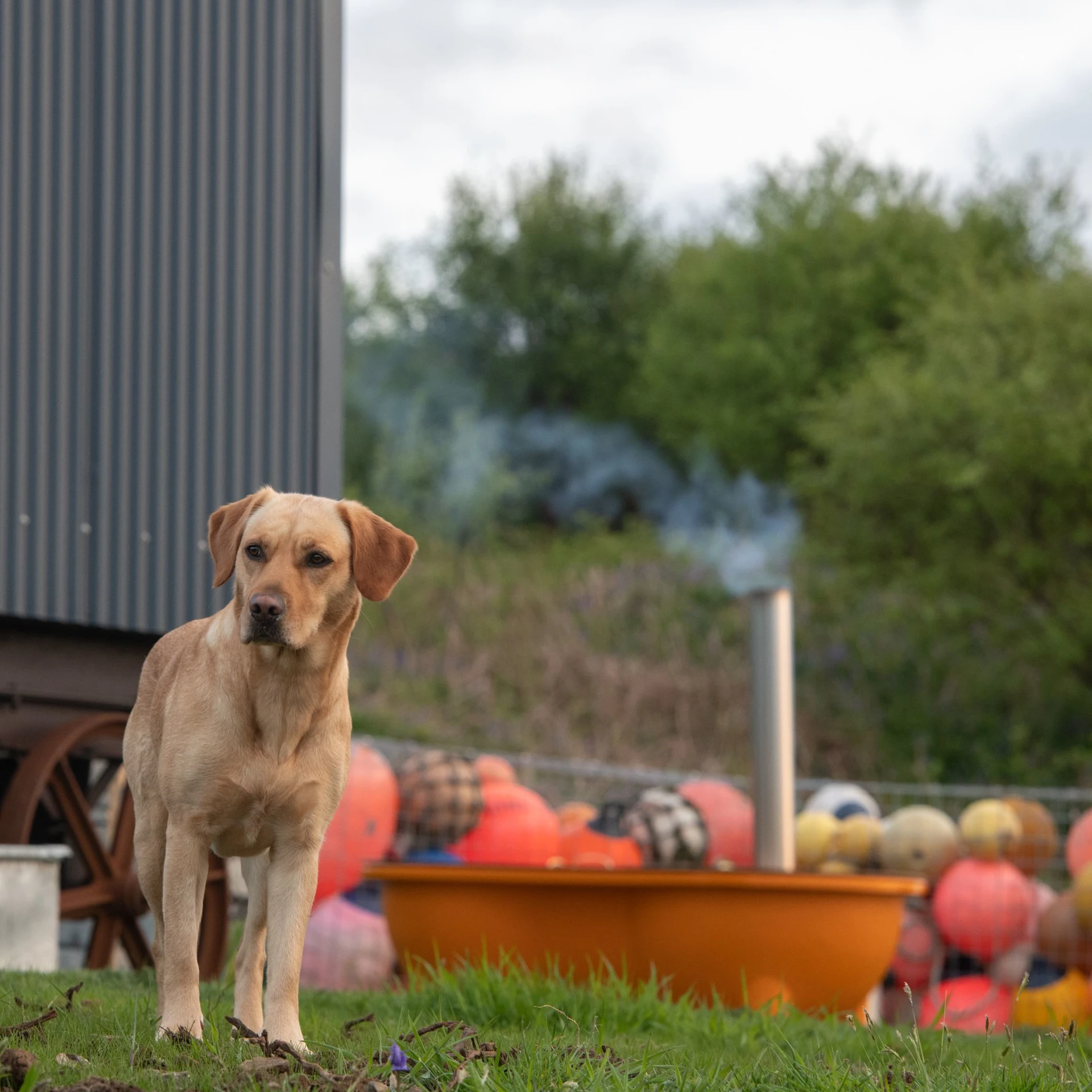 Shepherd's Hut Image 1