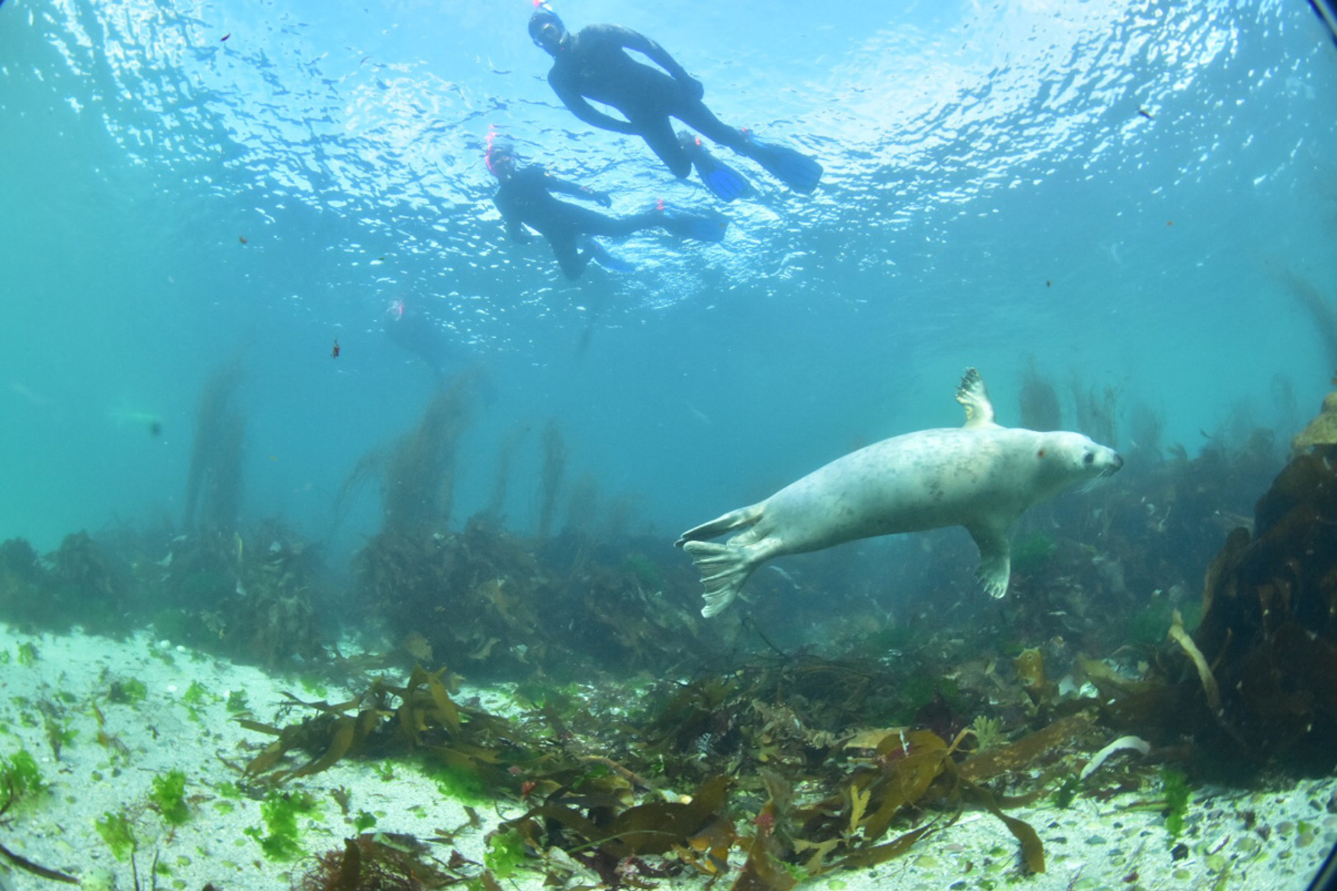 Background image - byr-5.jpg