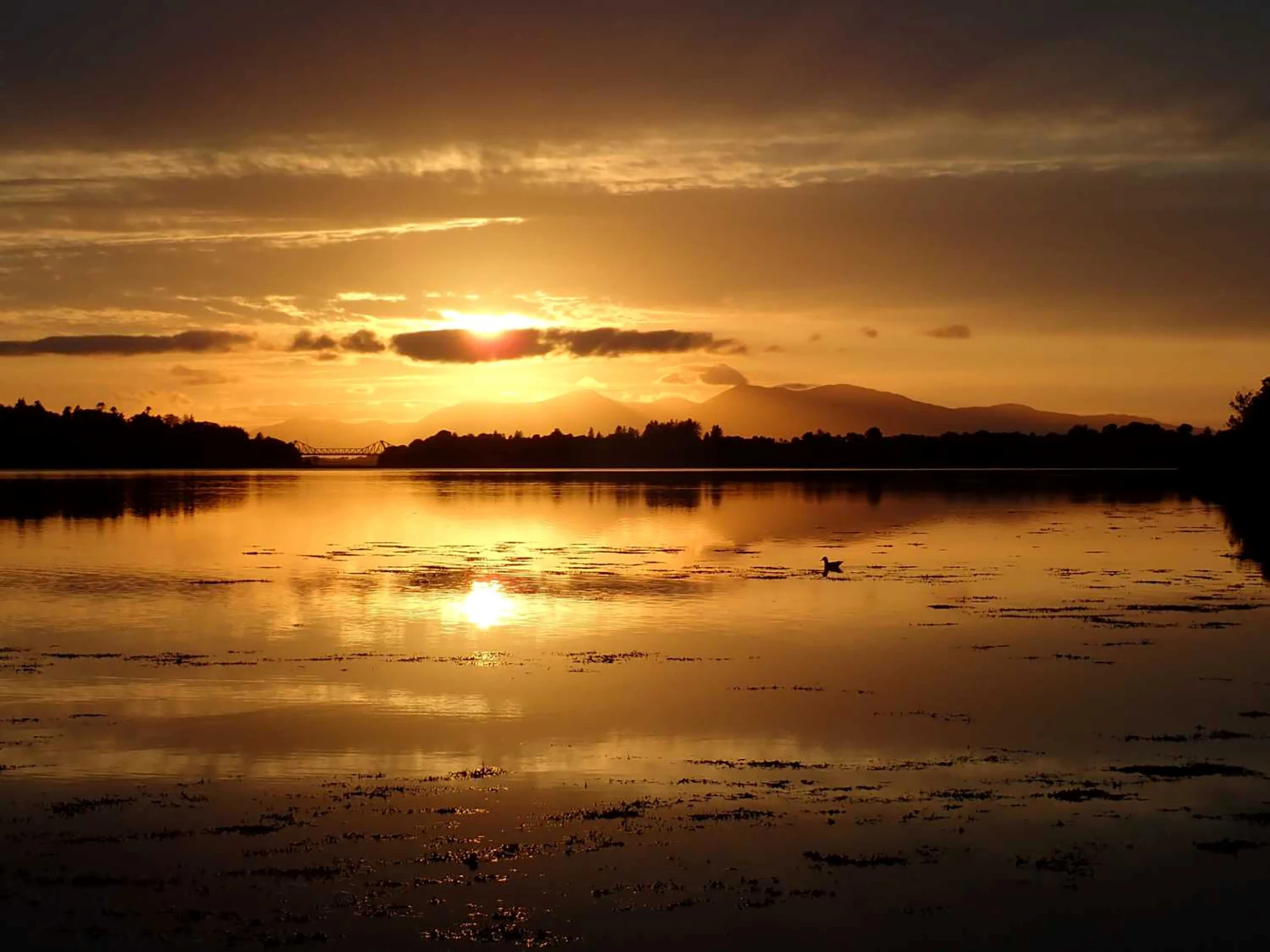 heathery_heights__mull_and_loch_etive_at_sunset.jpg