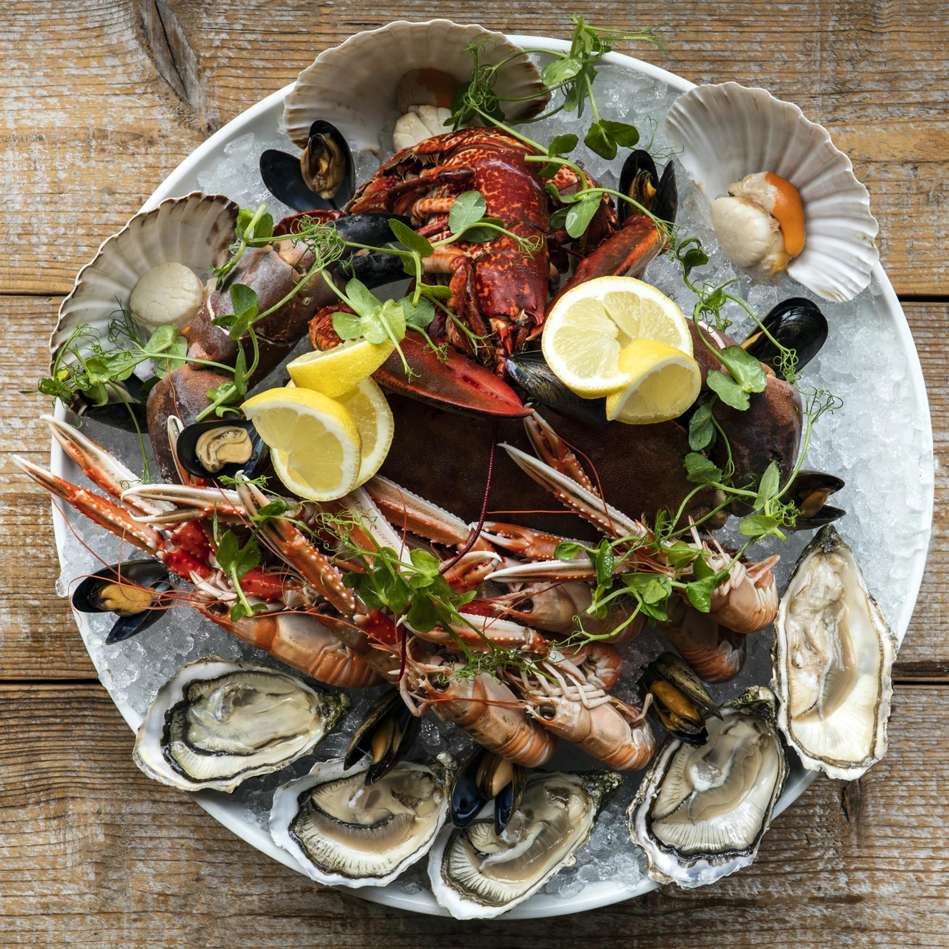 Oysterbar Fruits Of The Sea