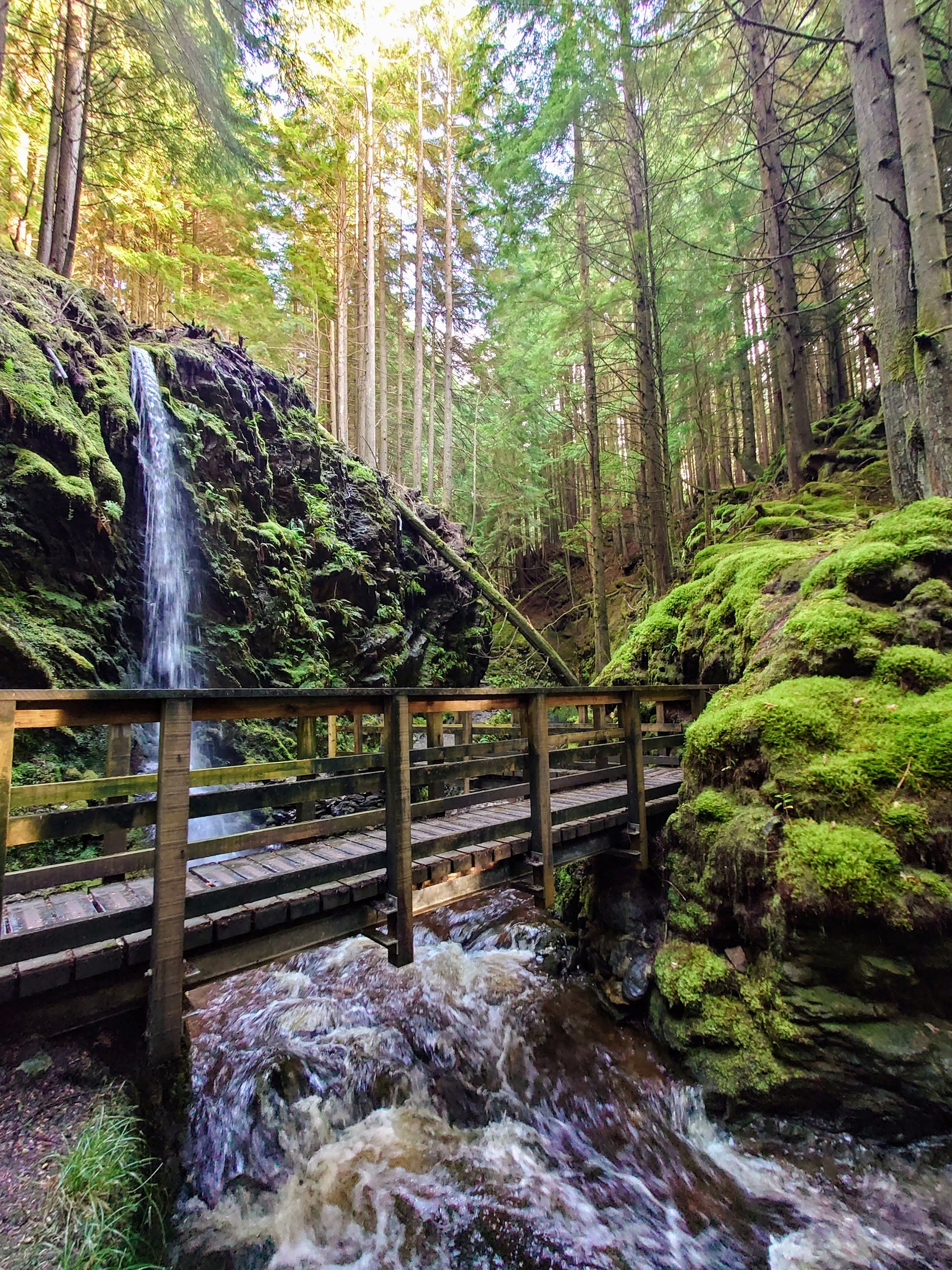 Background image - Heathery Heights Some Of The Delightful Water Falls In Puck's Glen