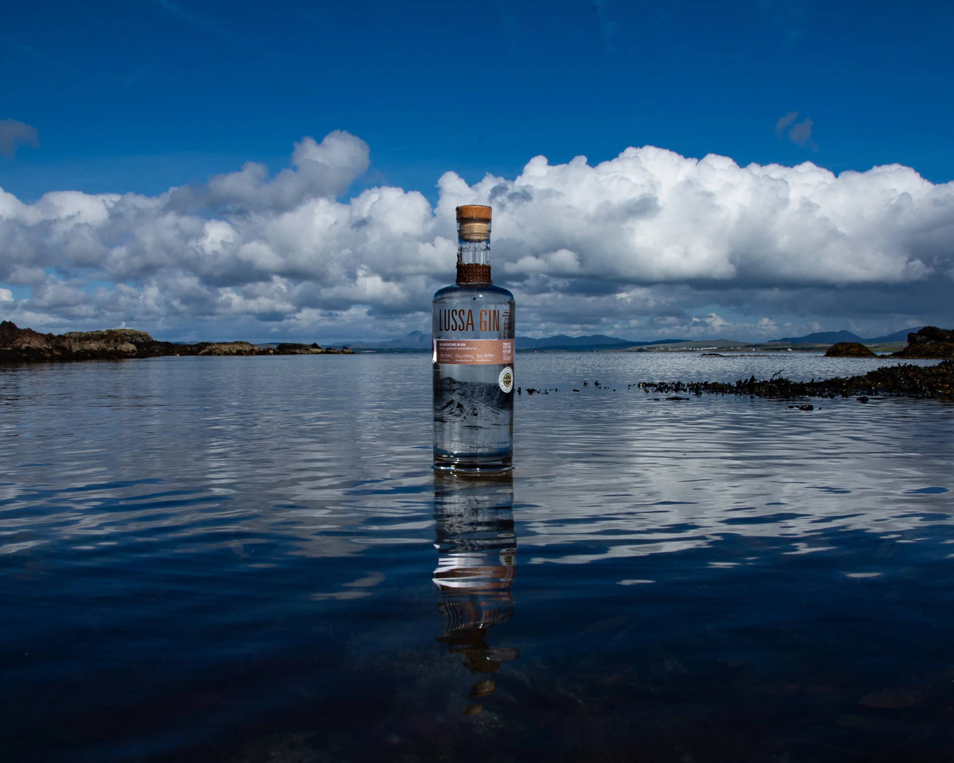 Background image - southqueensferryqfcrossing-roadbridge2.jpg