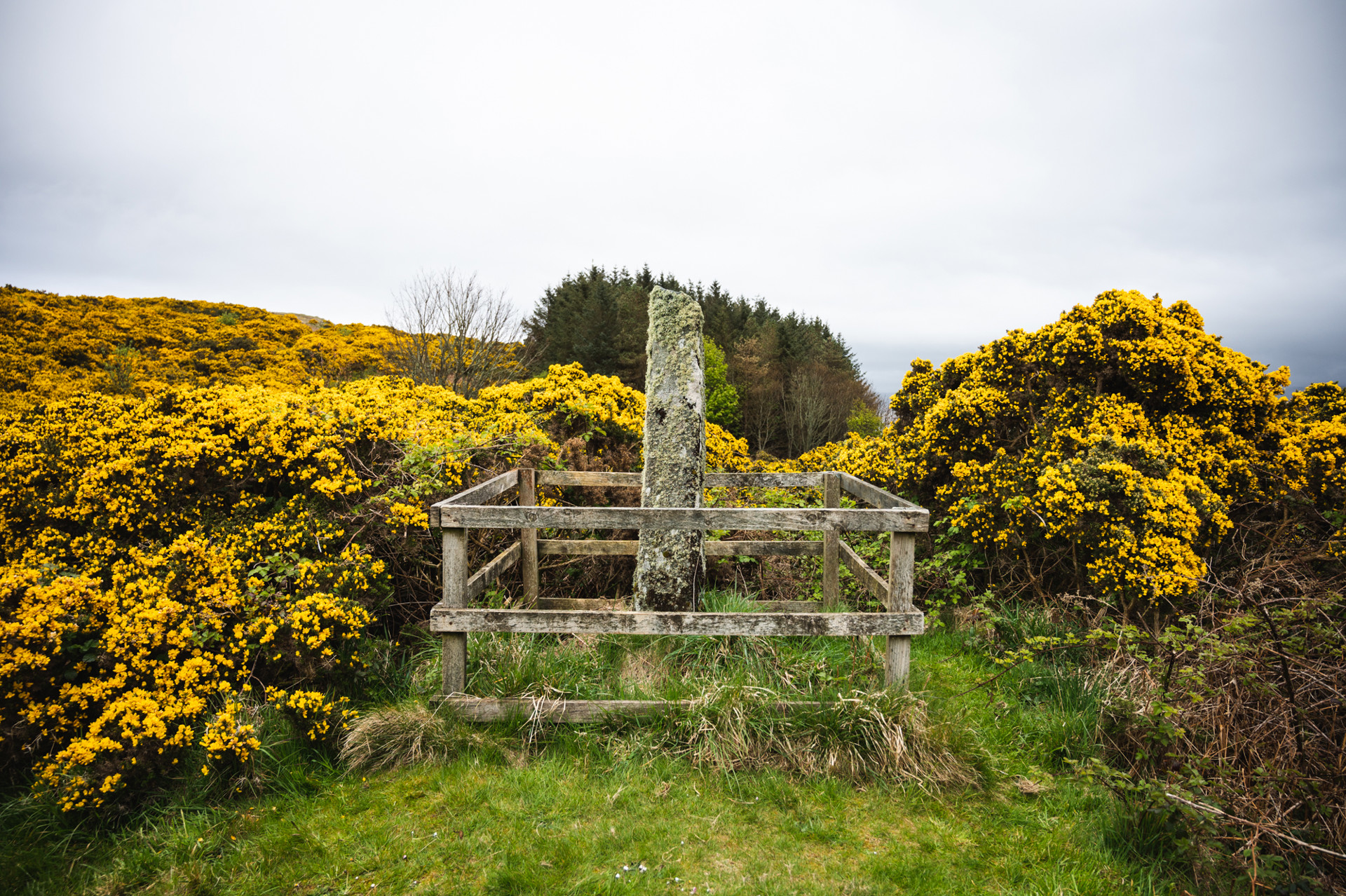 Background image - Ogham Stone Gigha