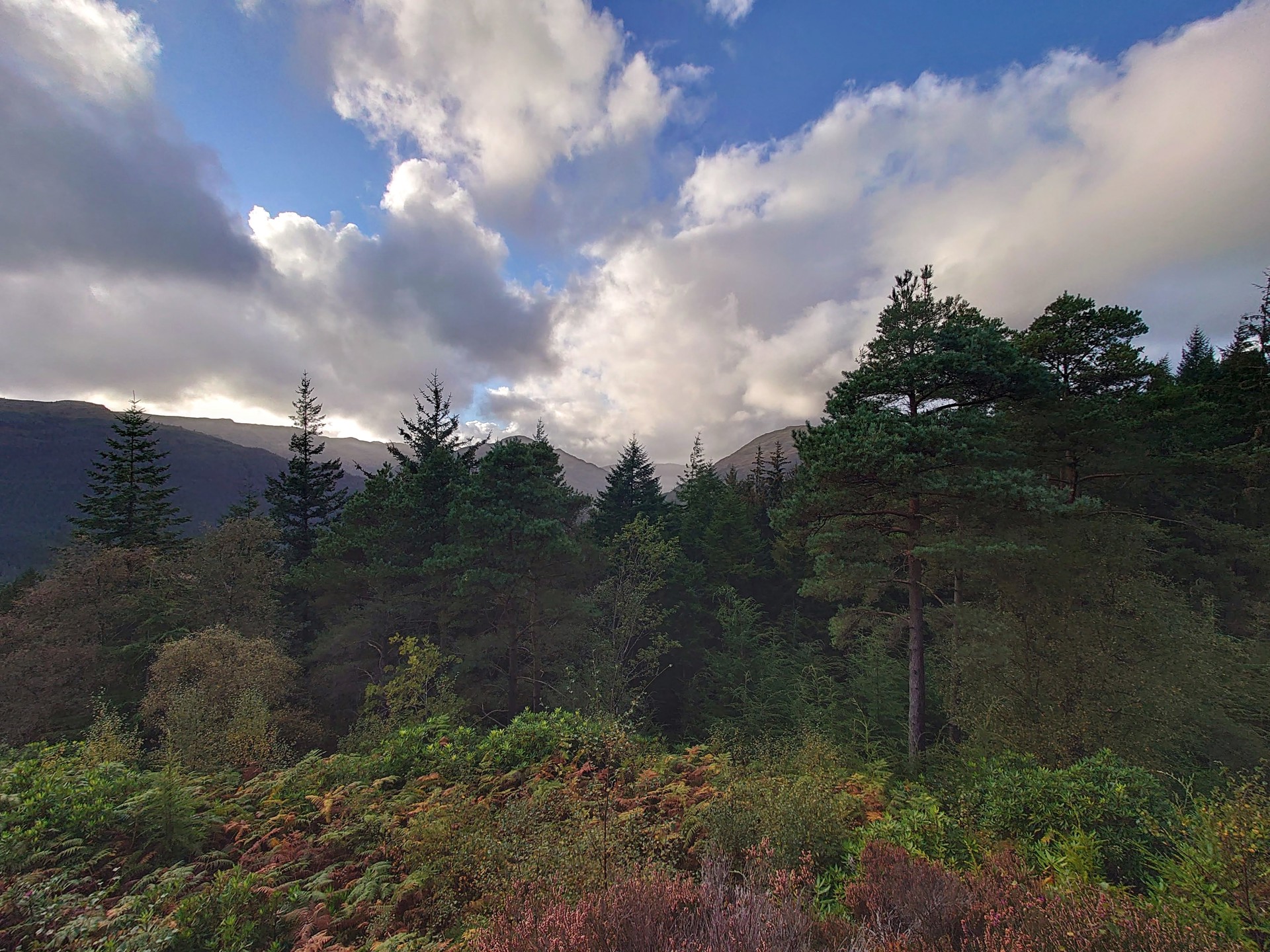 View Across To Glen Massan, Heather Thomas Smith. 2022