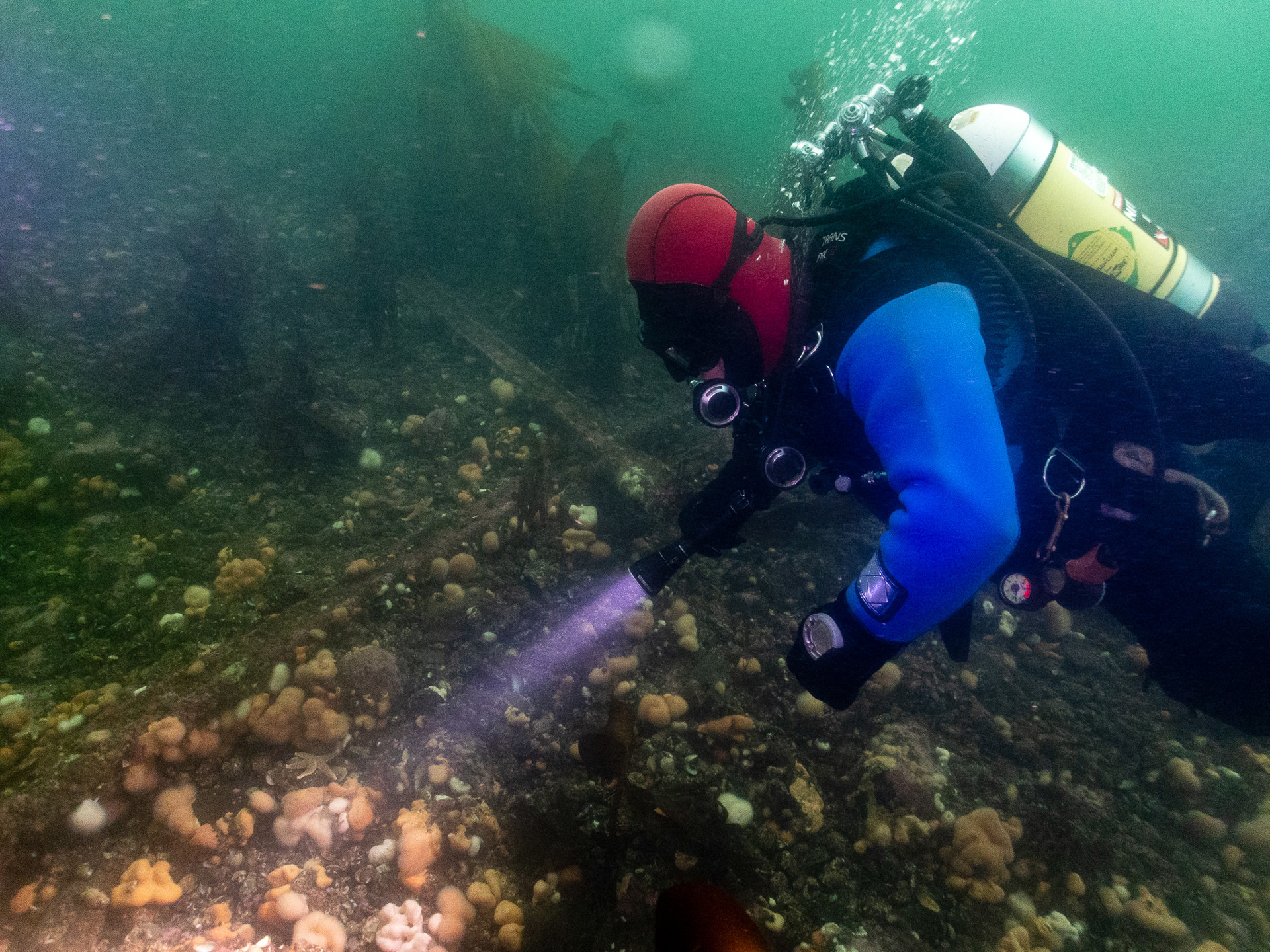 Background image - Diving Above&Below DAVE BLEAZARD (1)