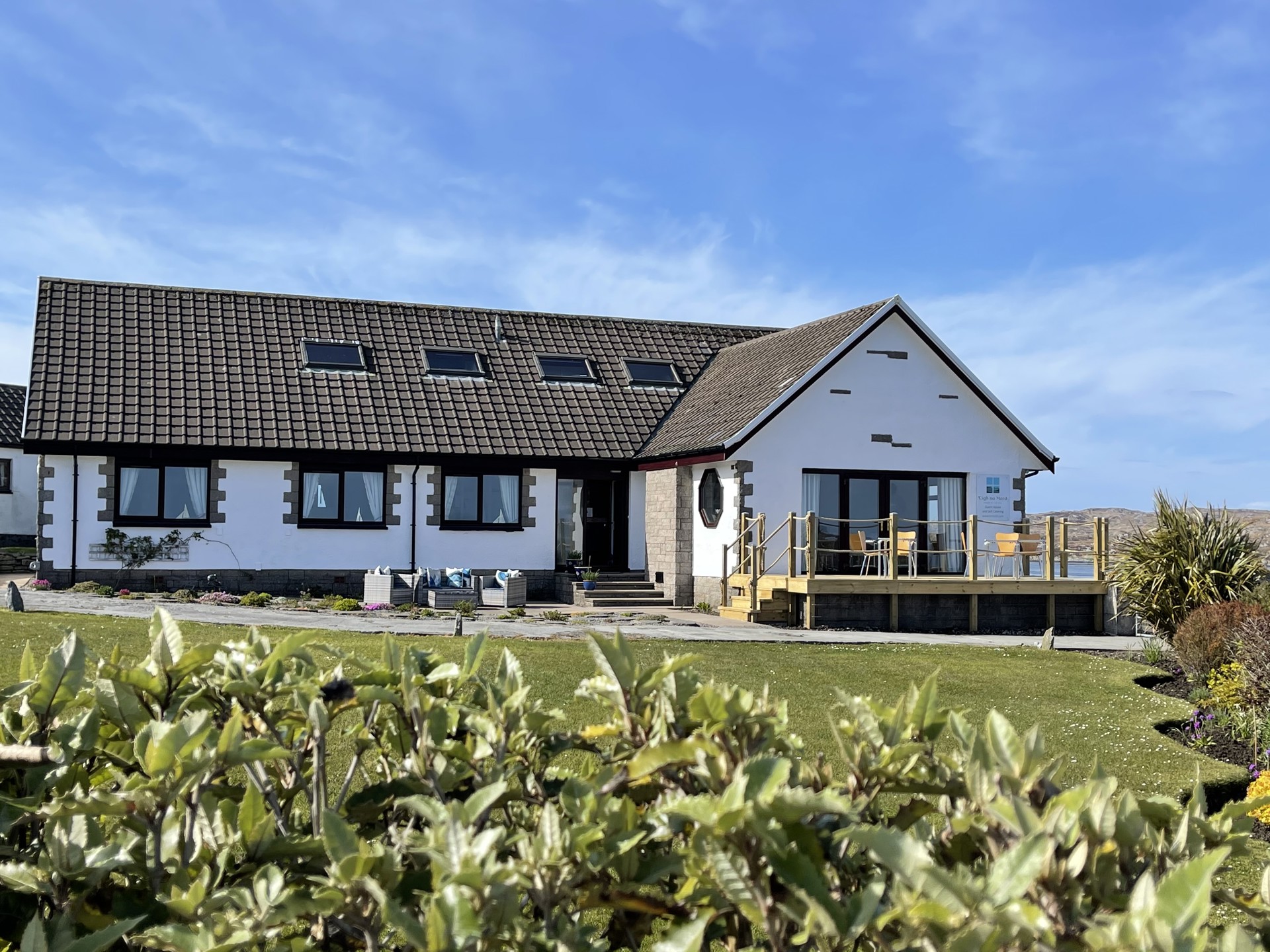 Background image - img_4169.jpg