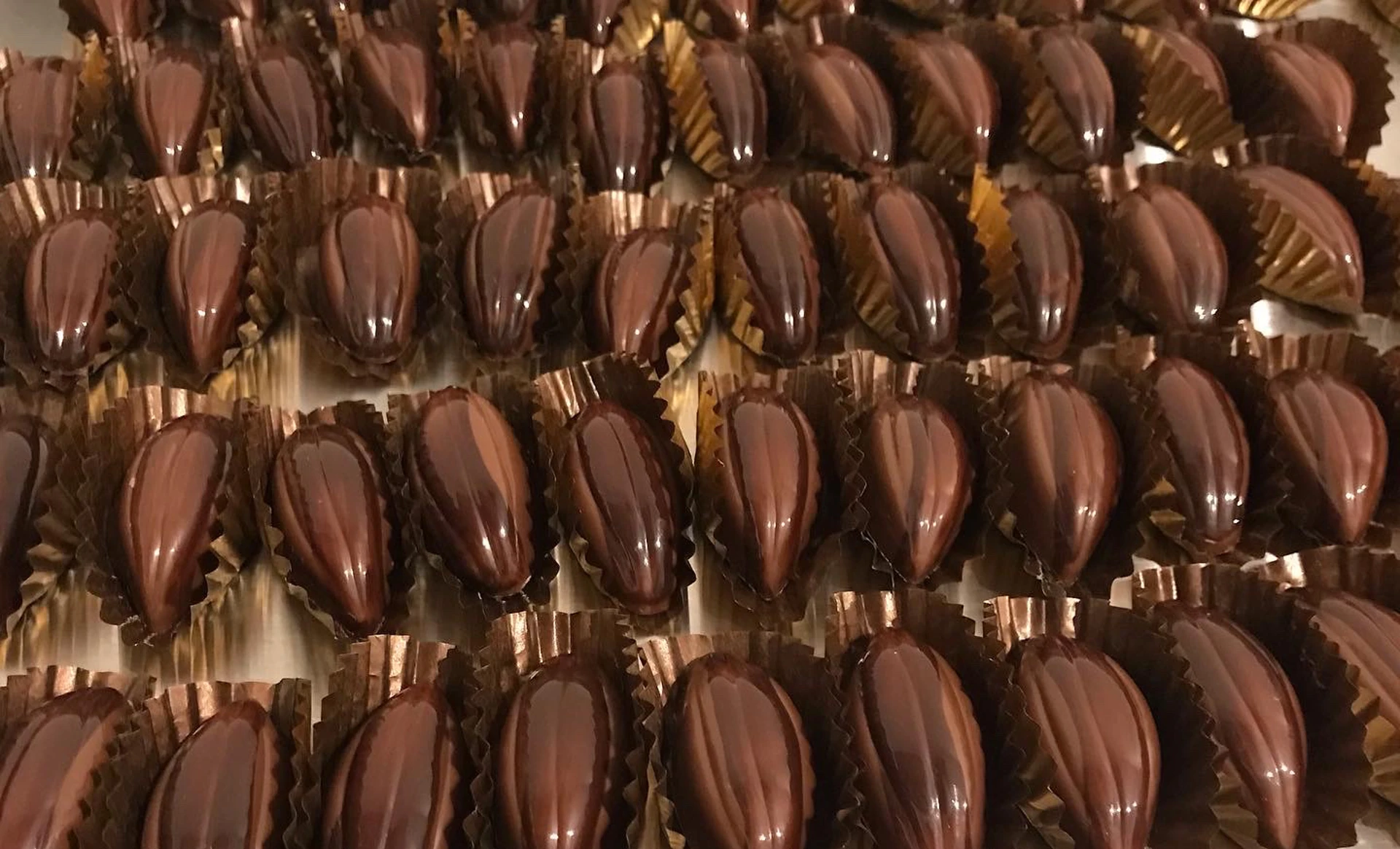 Background image - southqueensferryqfcrossing-roadbridge2.jpg