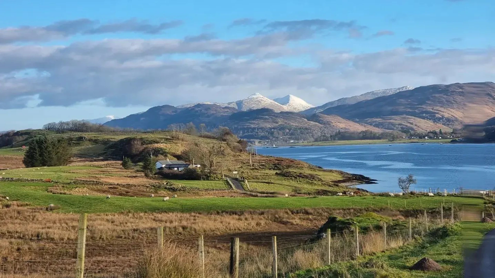 324472660_495987126004743_5814854355676787945_n.jpg (1)