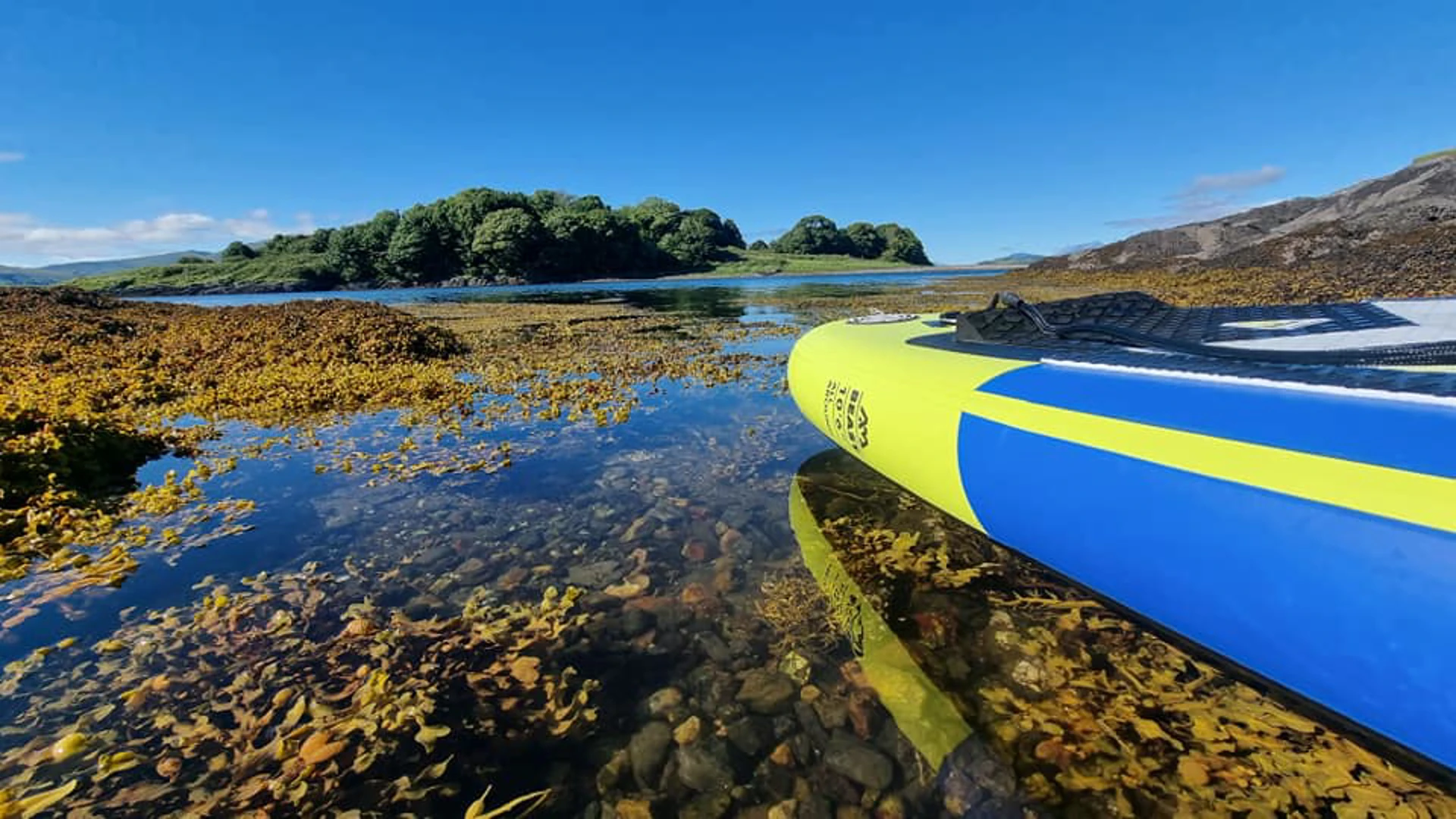 292066183_465772812140715_4340305791837757481_n.jpg (1)