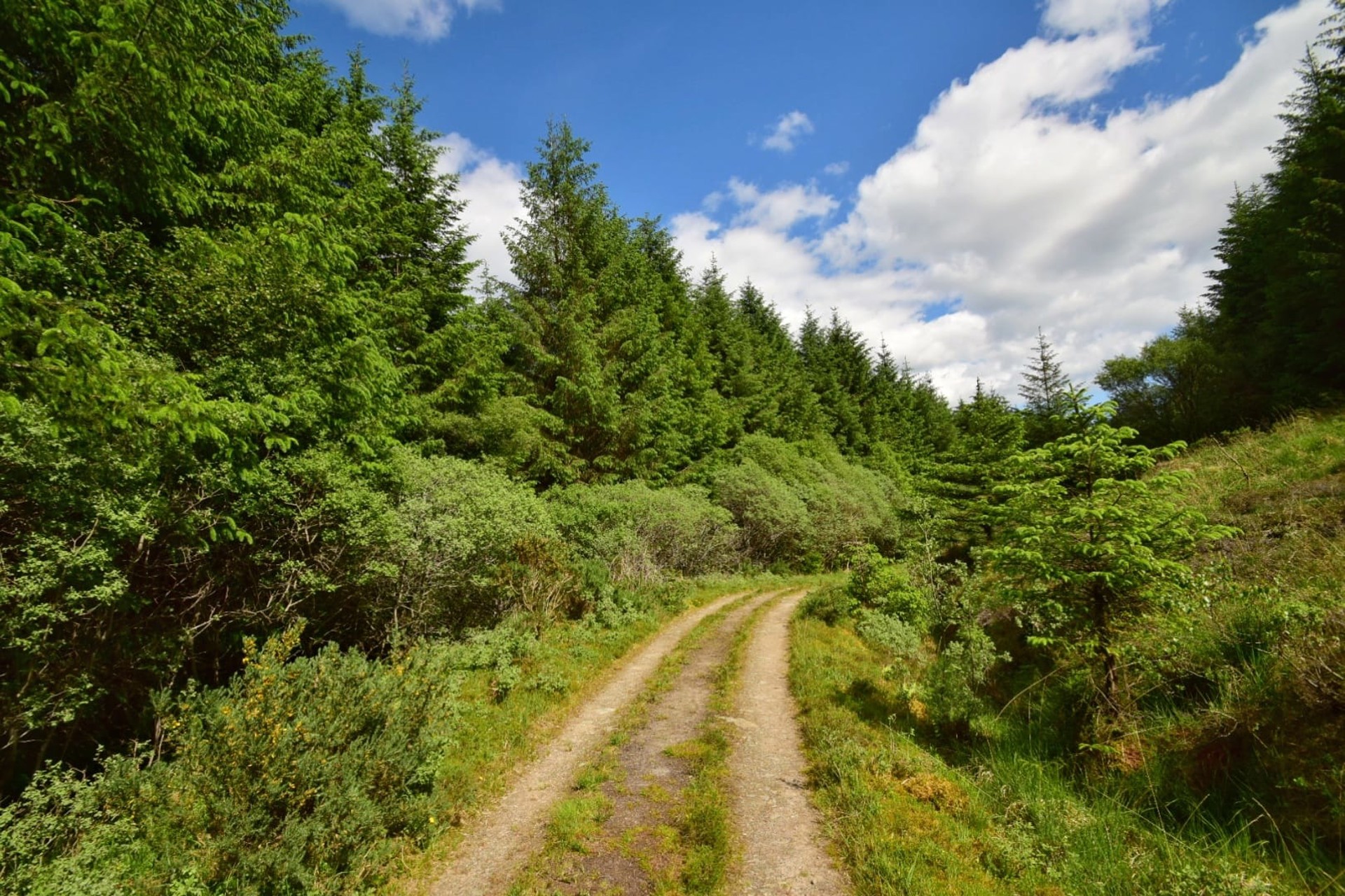 Background image - photo-2022-11-23-12-16-18_-_copy.jpg