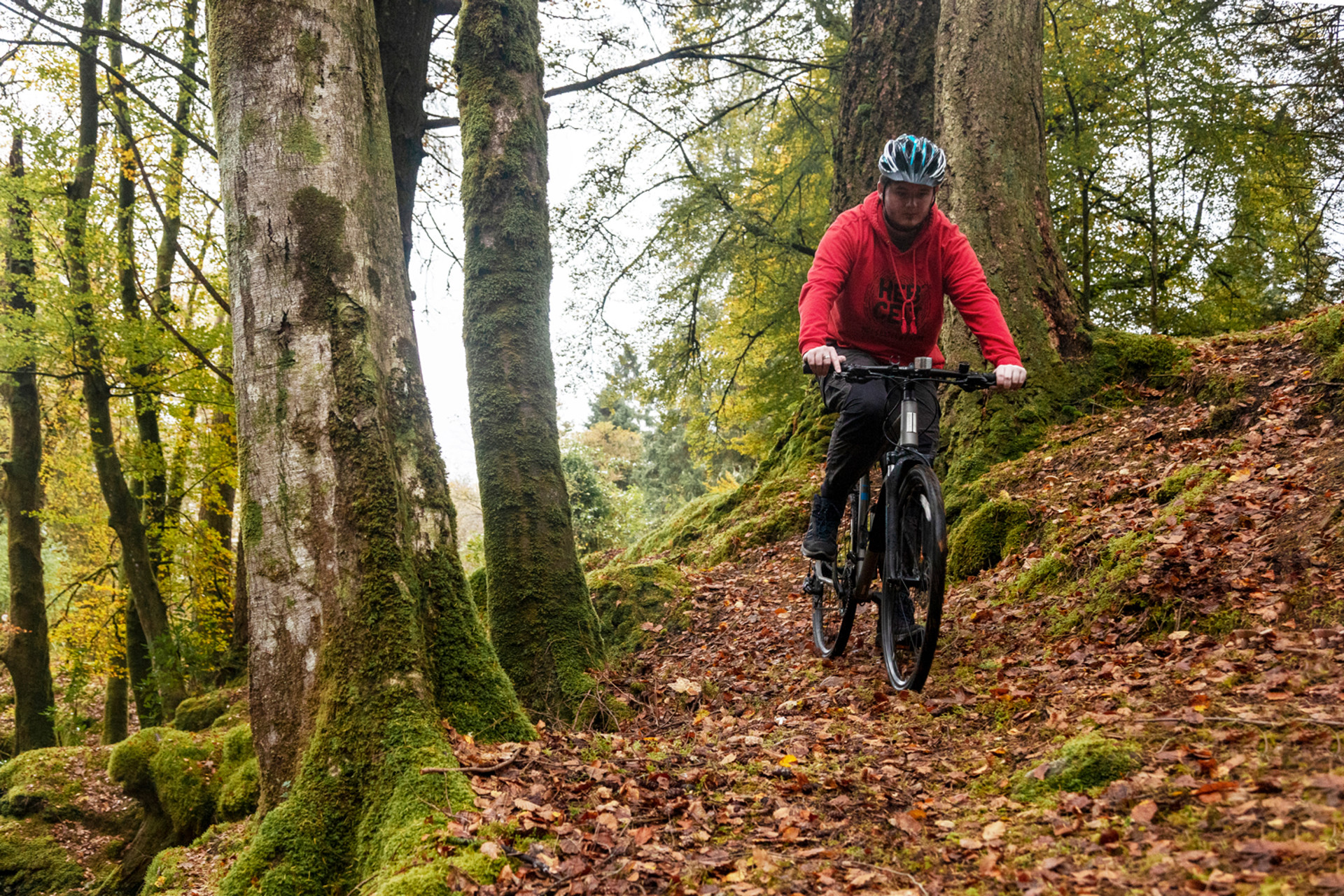 Background image - Mountain Biking Luss1 1 Pauline Guillouzic Photography