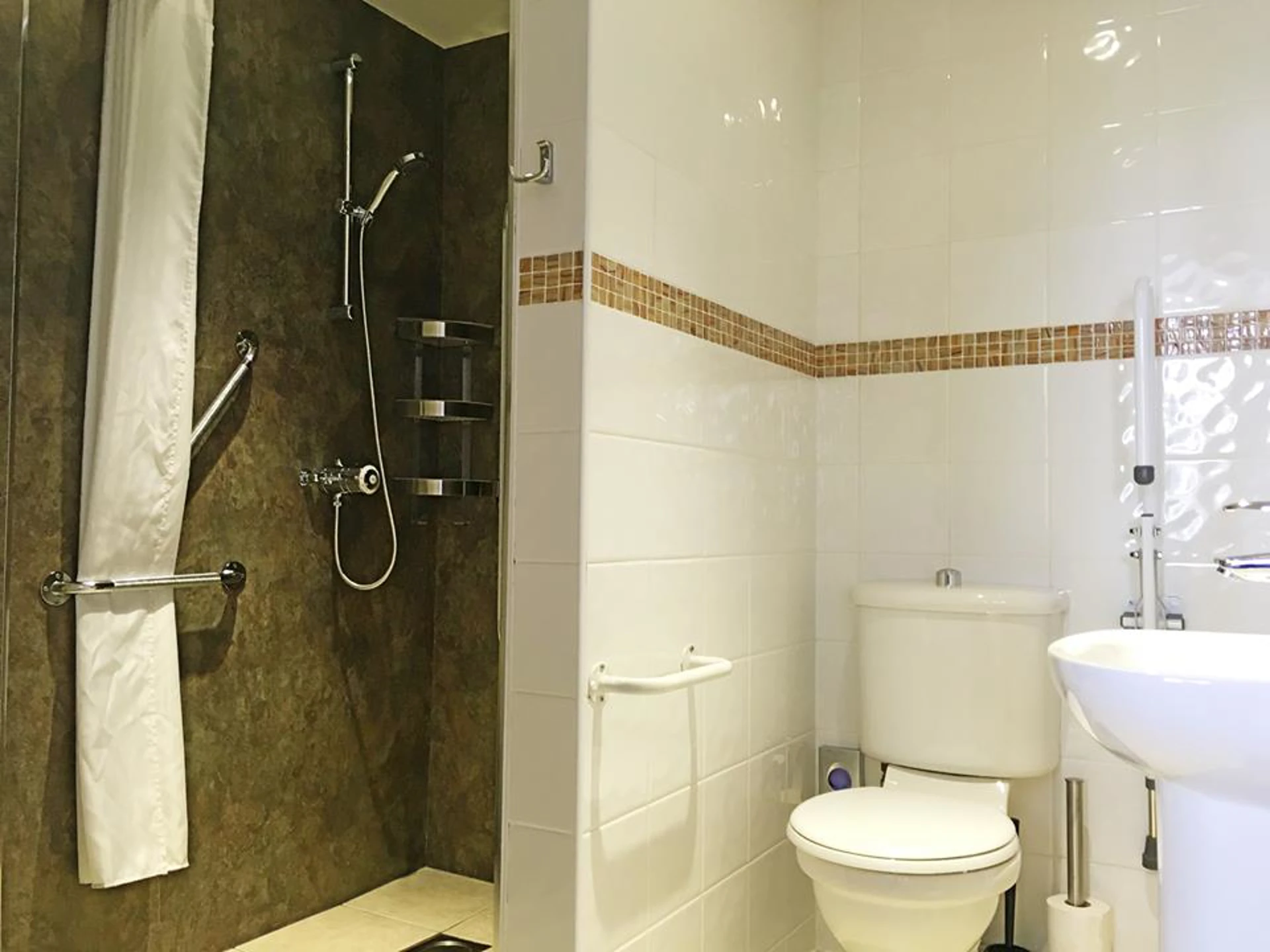 12592389_1287592807936742_6486655691150432548_n.jpg (1)