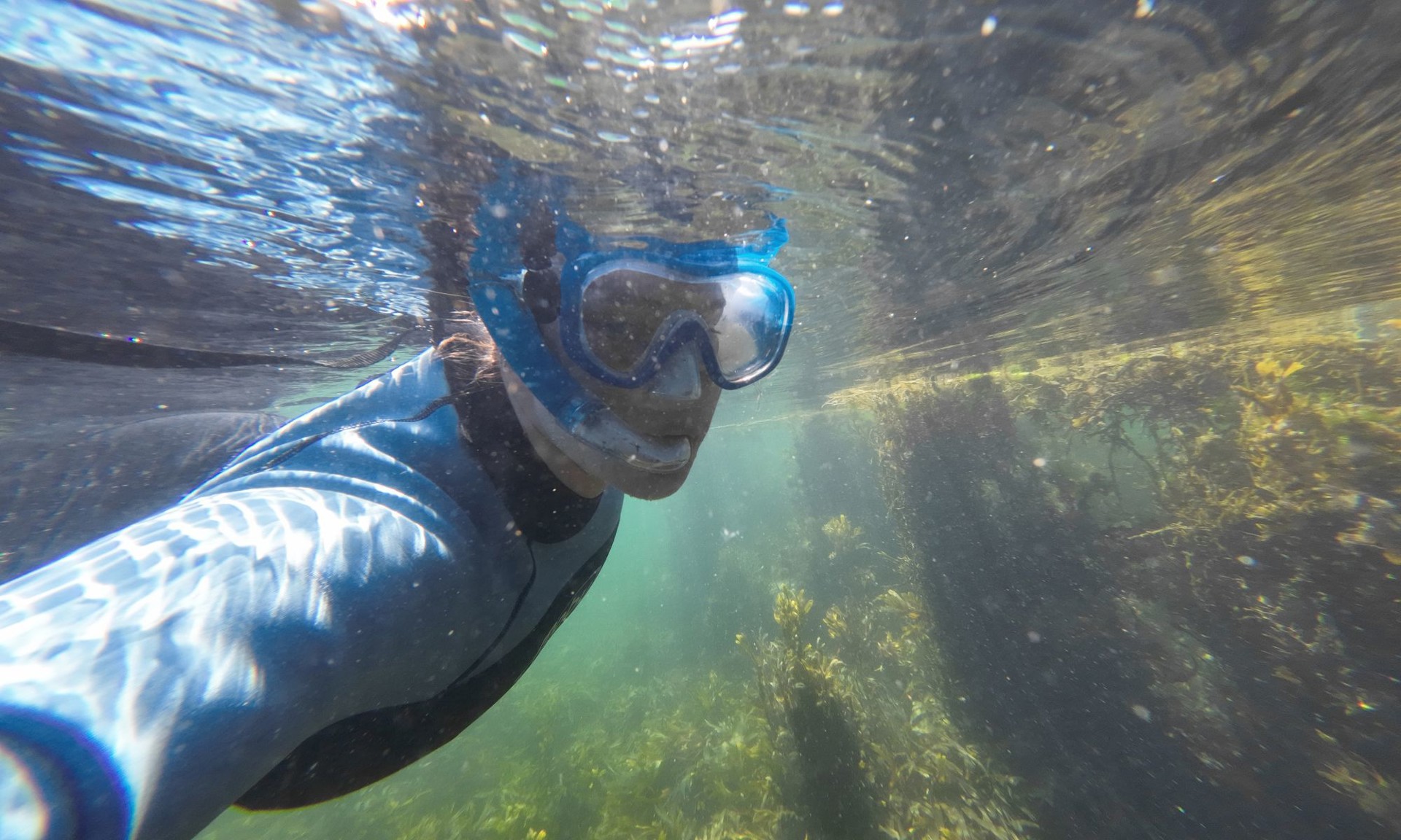 Background image - Snorkelling Argyll 2