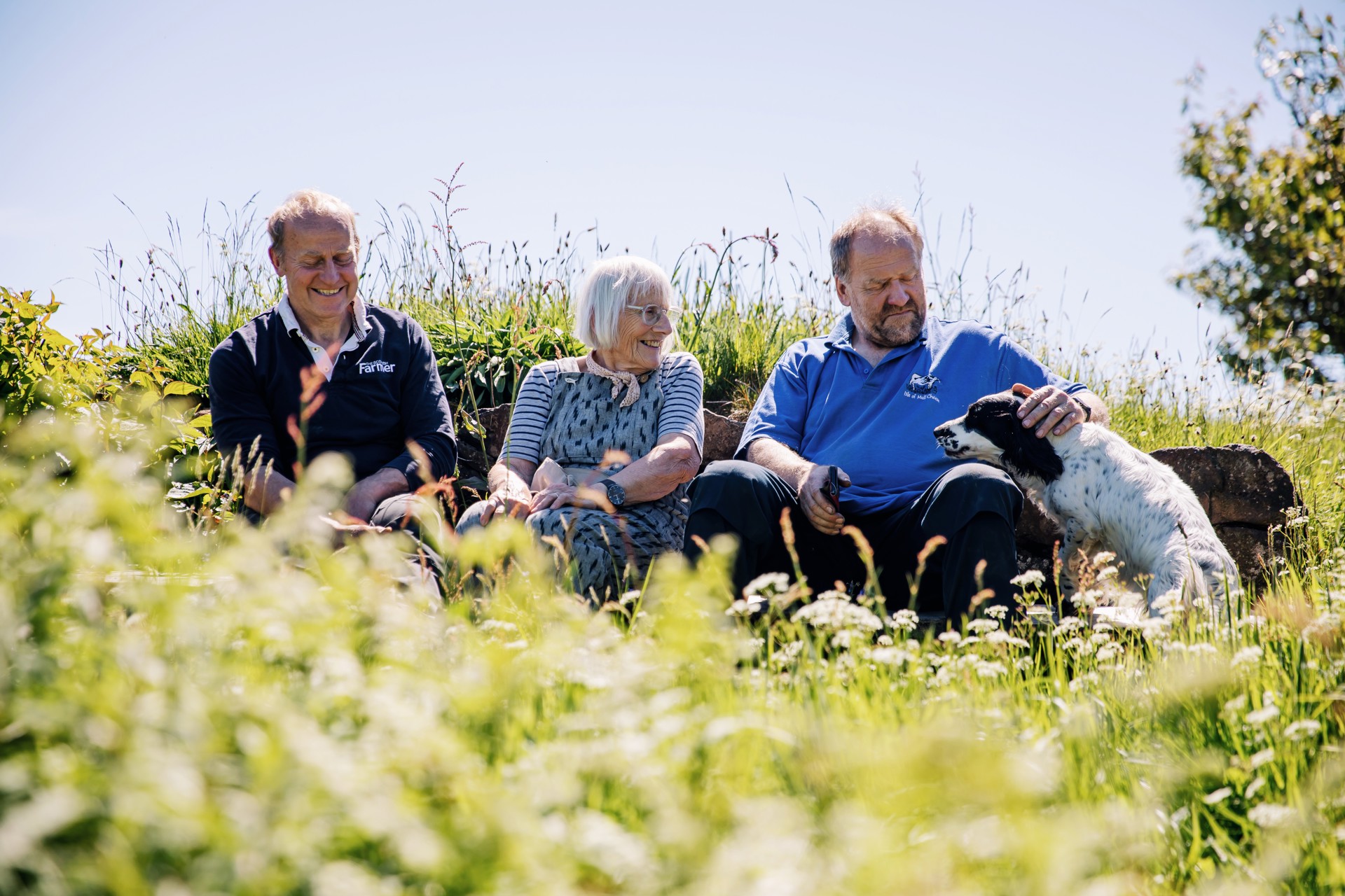 Background image - sgriob_ruadh_003.jpg