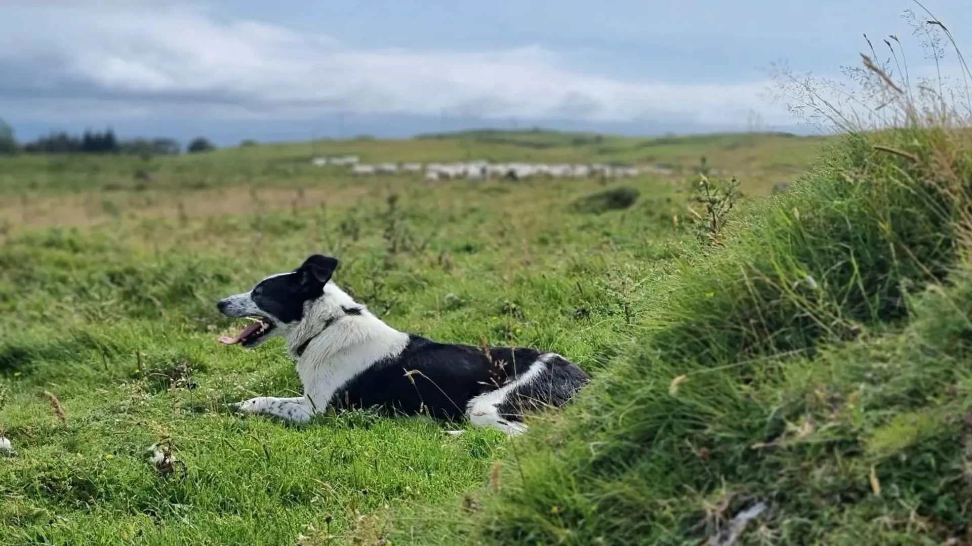 300790337_500208288697167_2579927886554863557_n.jpg (1)