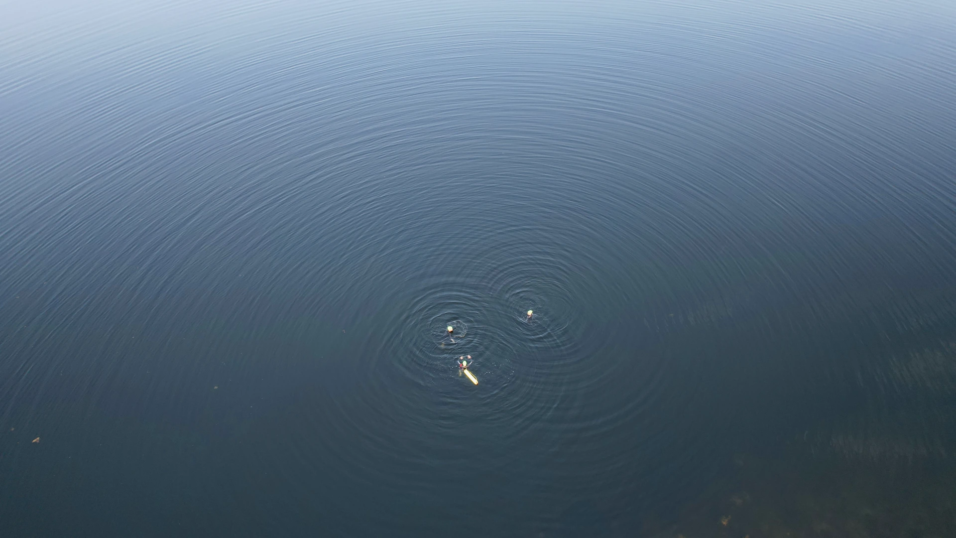 Dan Merman Credit; Markus Stitz