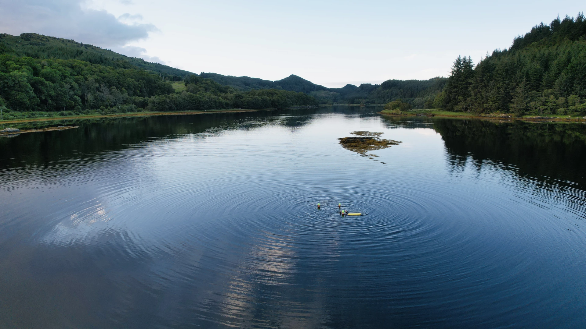 Background image - southqueensferryqfcrossing-roadbridge2.jpg
