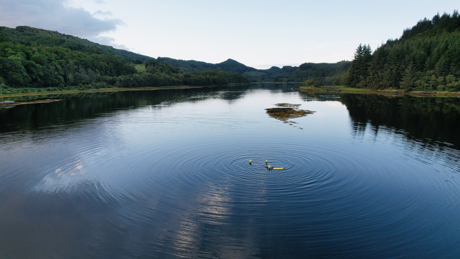 Background image - Dan Merman Argyll Hope Spot