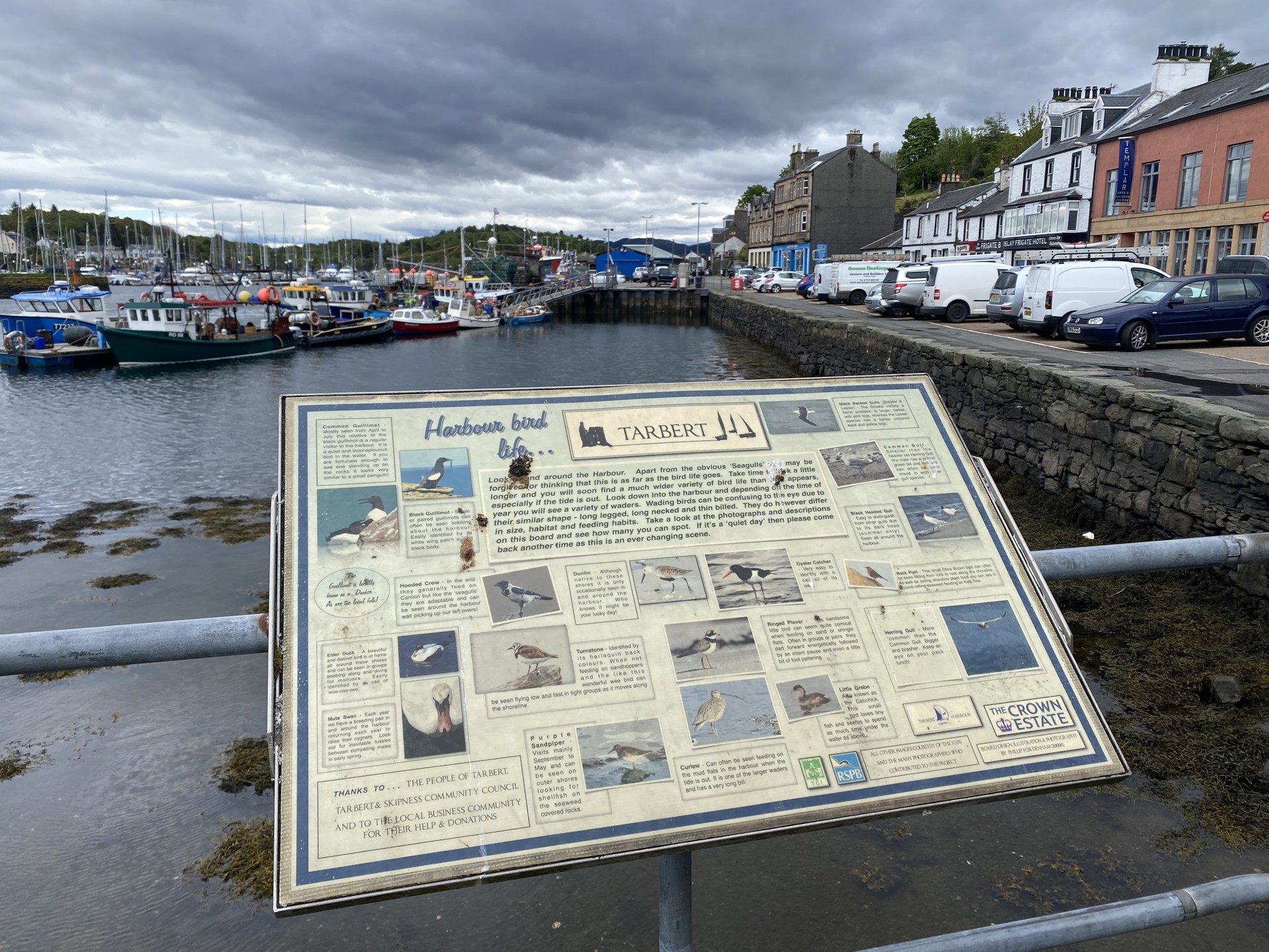 Background image - Tarbert 1