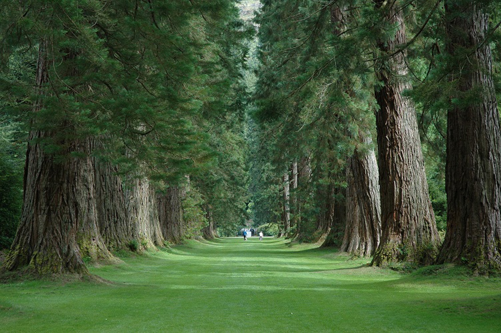 Background image - Benmore