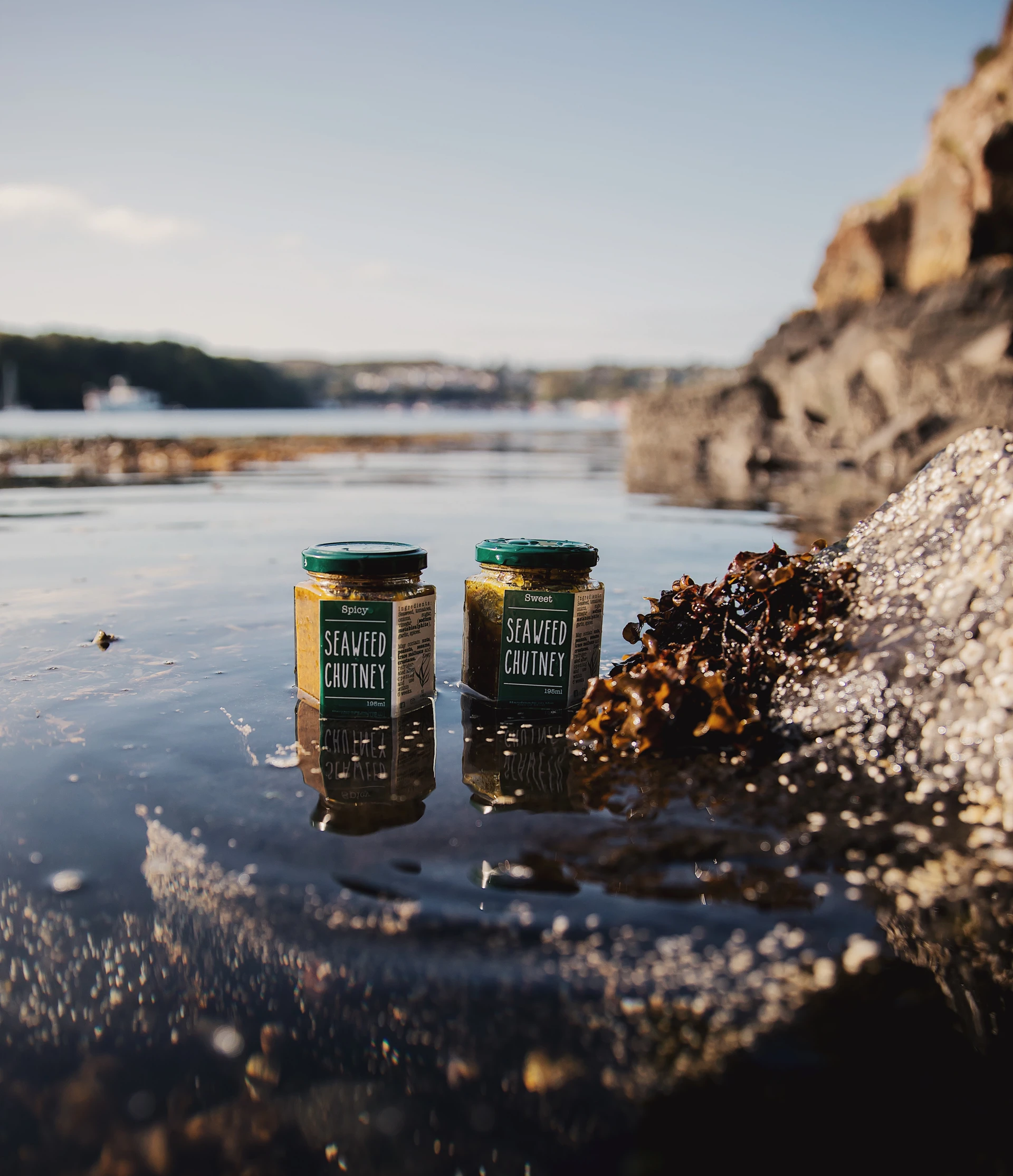 Background image - southqueensferryqfcrossing-roadbridge2.jpg