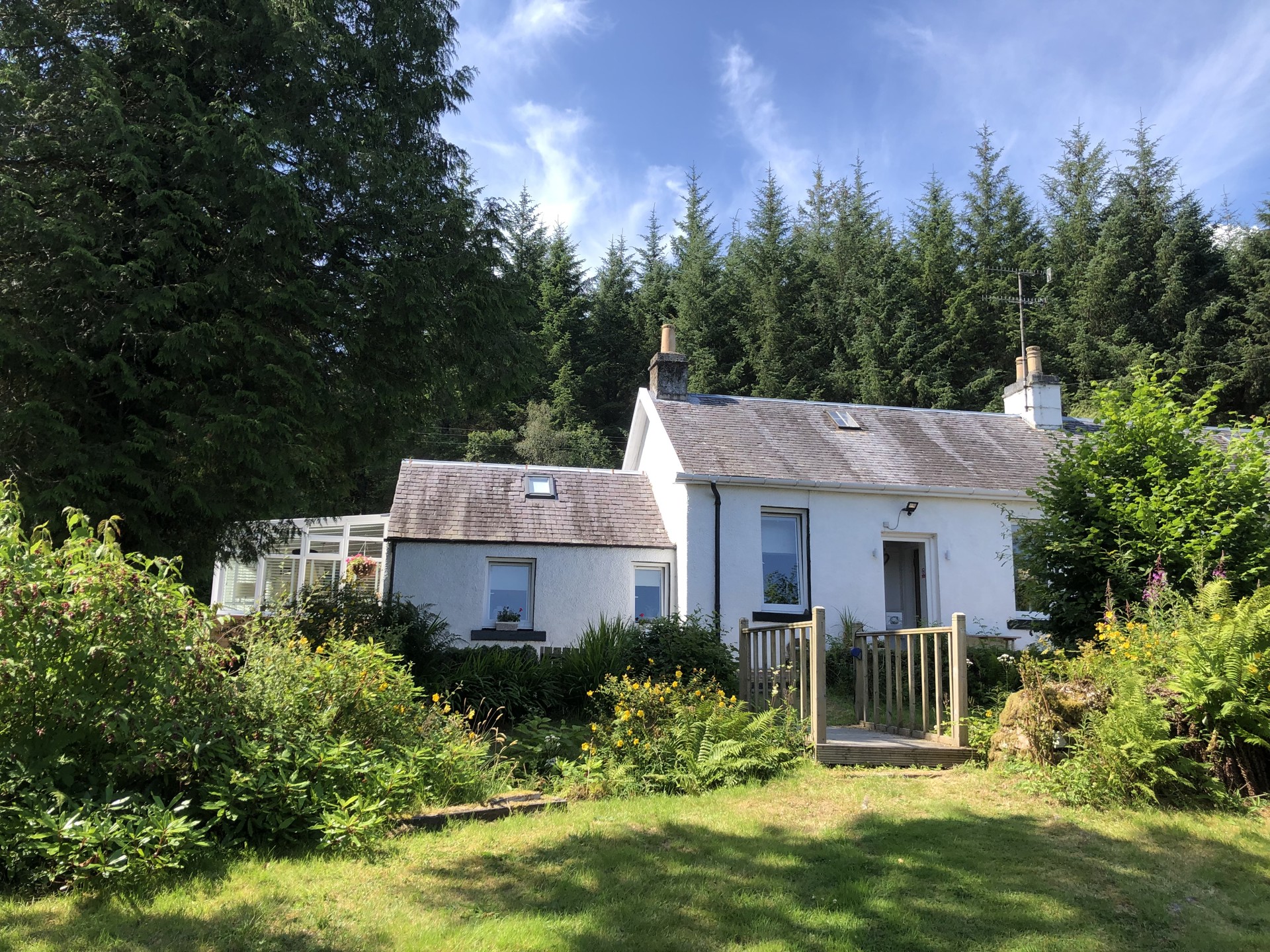 Background image - img_2823.jpeg