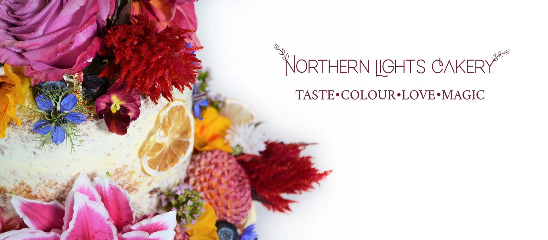 Background image - southqueensferryqfcrossing-roadbridge2.jpg