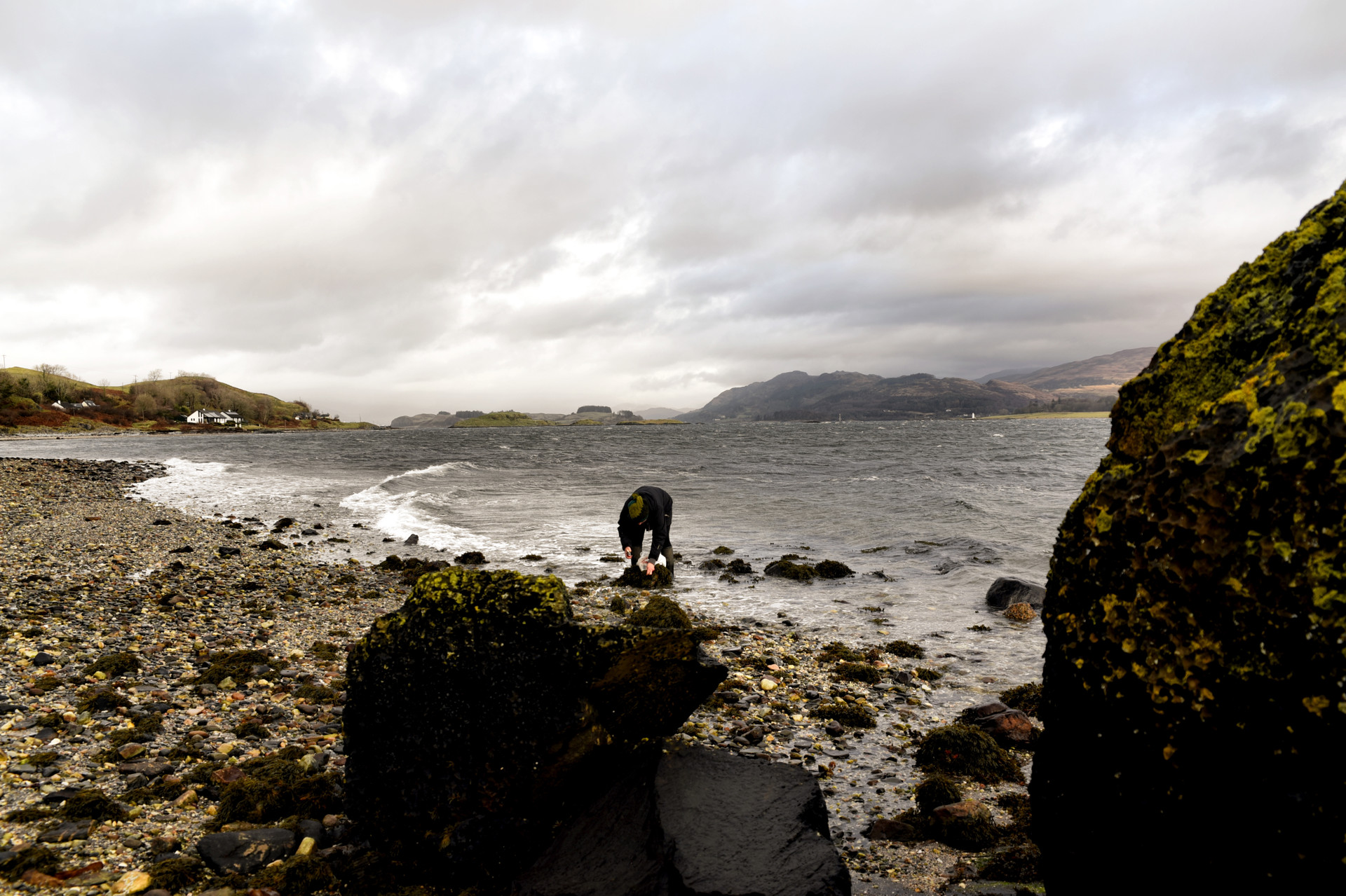 Background image - Tastetrails Eva Seaweedforaging Lismore2