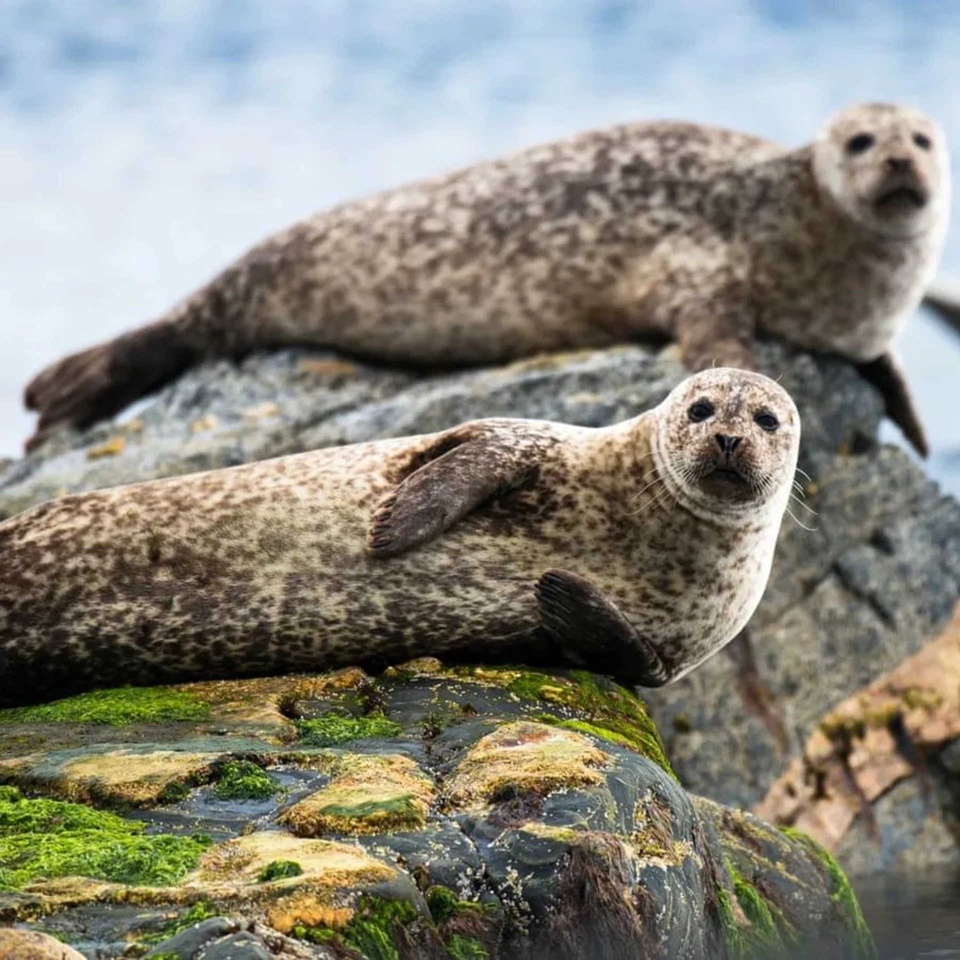 299115034_489818589736137_7902470706110816499_n.jpg (1)