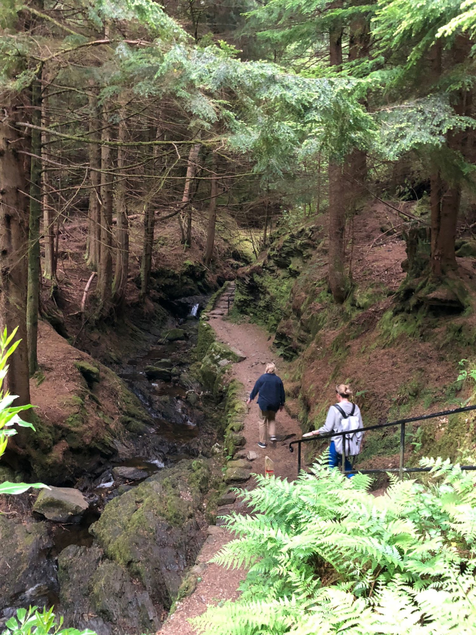Background image - Pucks Glen Walking Portrait (2)