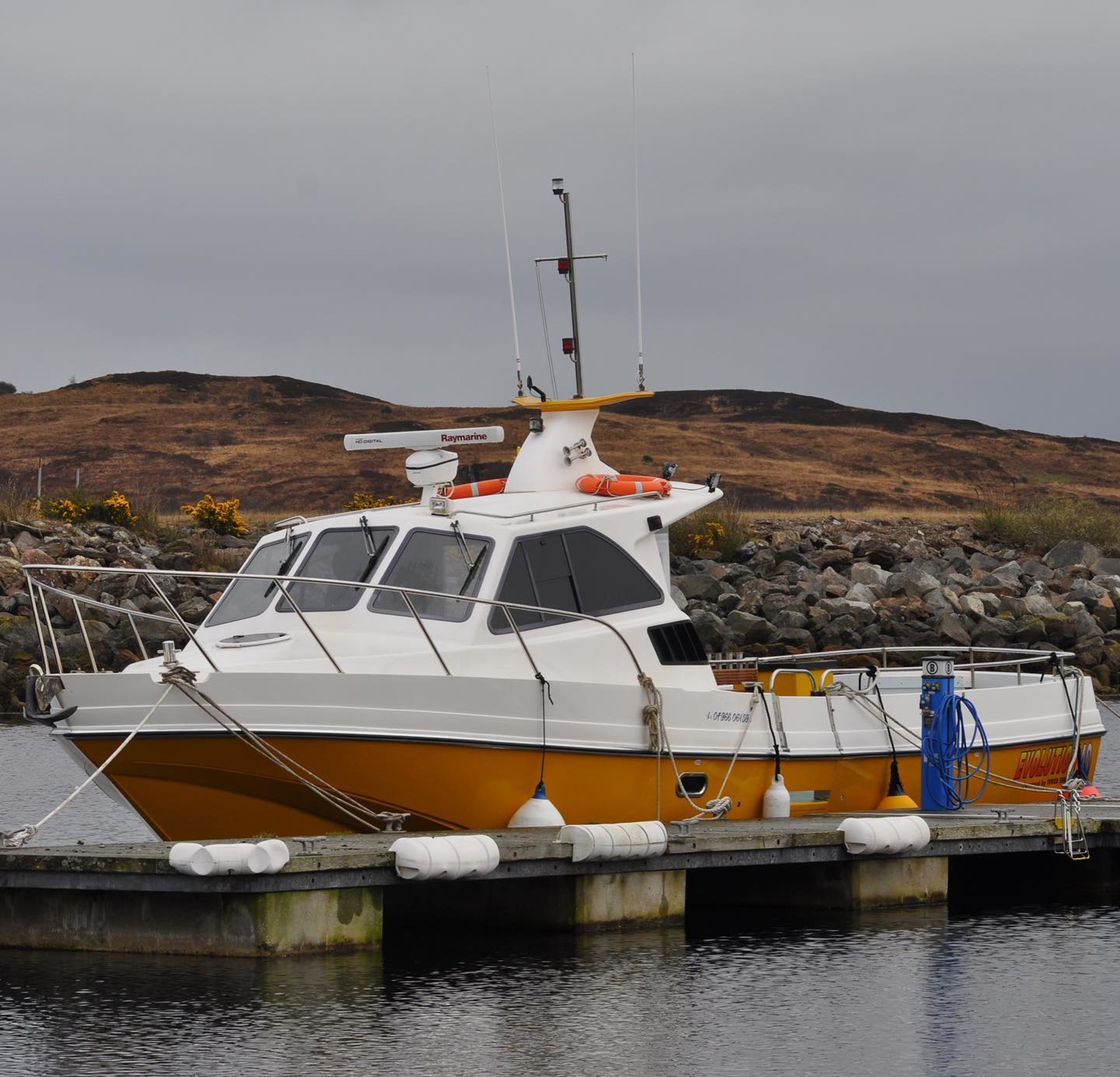 Background image - fyne_sea_tours_banner.jpg