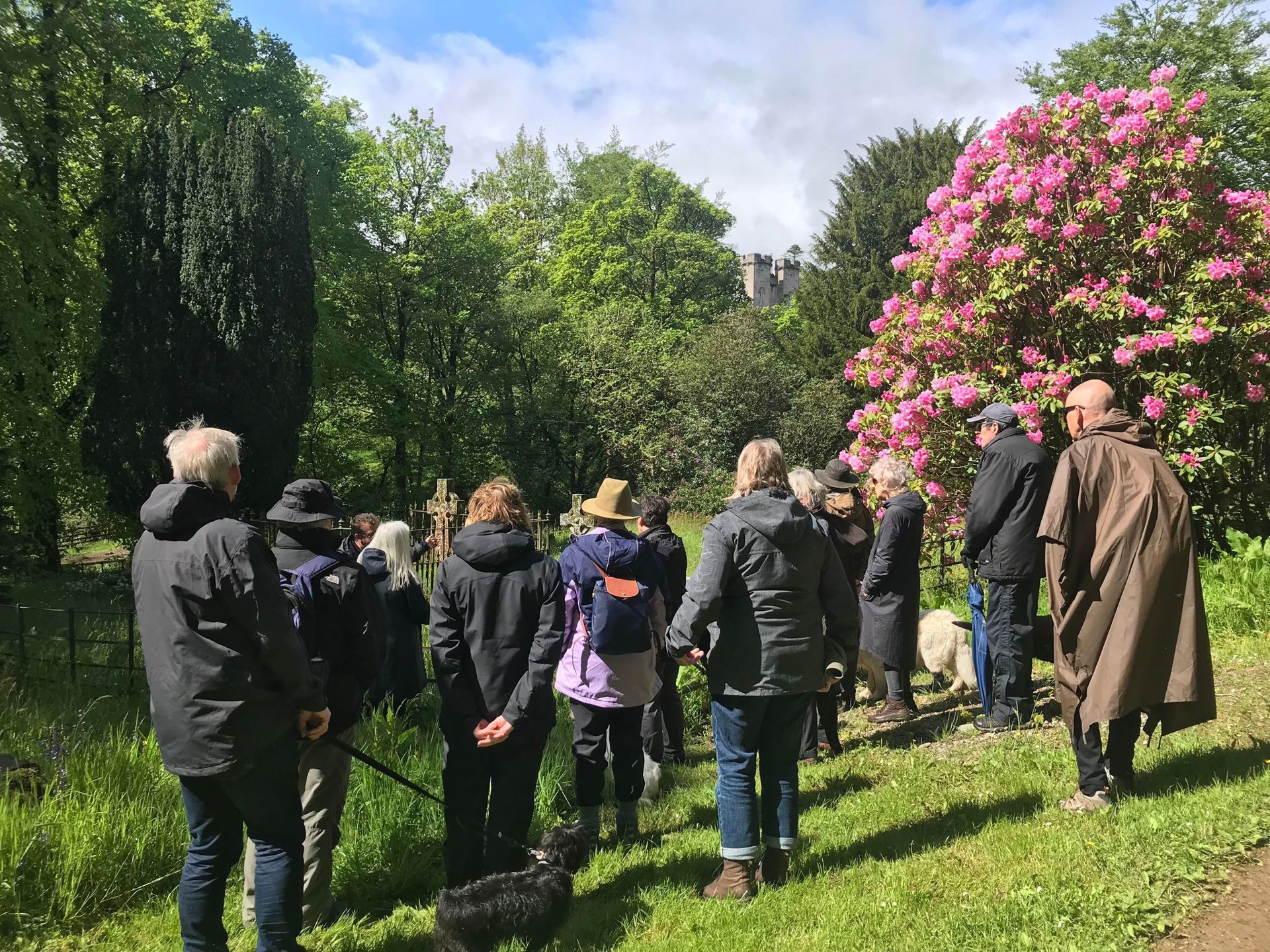 Background image - Lairds Walk